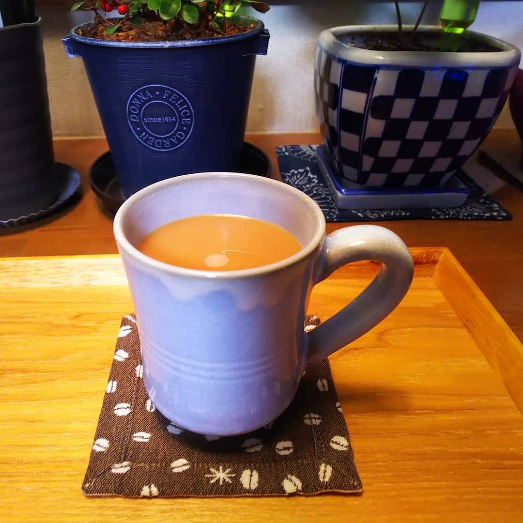 みながわゆみさんのインスタグラム写真 - (みながわゆみInstagram)「#コーヒー #coffee #コーヒーカップ #コーヒー好き #コーヒー好きな人と繋がりたい #コーヒーの木 #ビックベリー #コーヒータイム #癒される時間」12月18日 6時33分 - nama.09.19