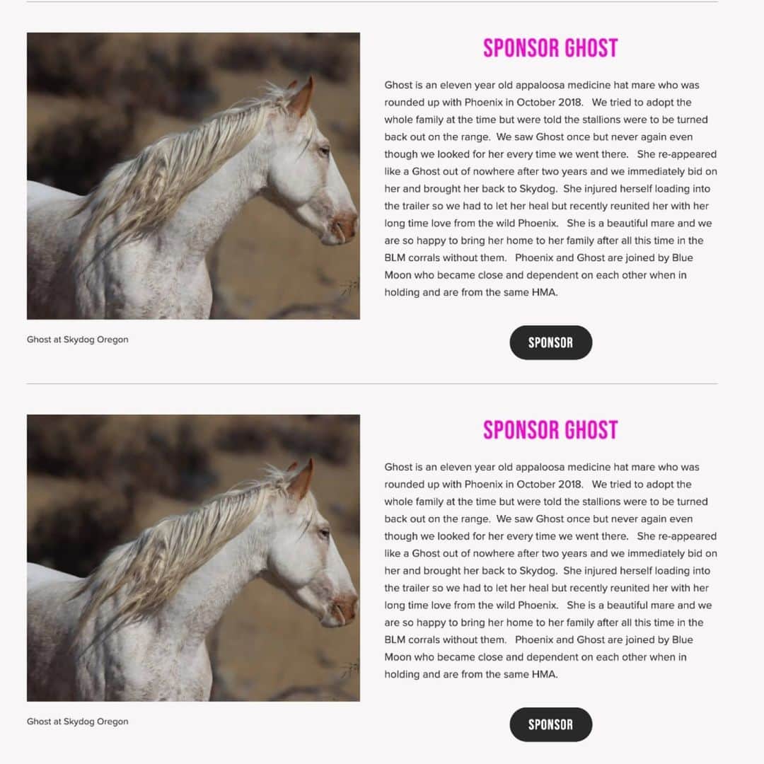 のインスタグラム：「sponsored beautiful🐴#ghost today @skydogsanctuary check them out save a🐎 save a burro 🛑the illegal roundups! 🛑 the killing 🛑BIG-AG RN! horses #wildmustangs are slaughtered for meat its disgusting @biden @KamalaHarris @drbiden @meena #safeact now! #skydogsanctuary  #skydog  💗💗💗💗💗💗💗💗💗💗💗💗💗💗💗💗💗 #horses #burros #wildhorses」