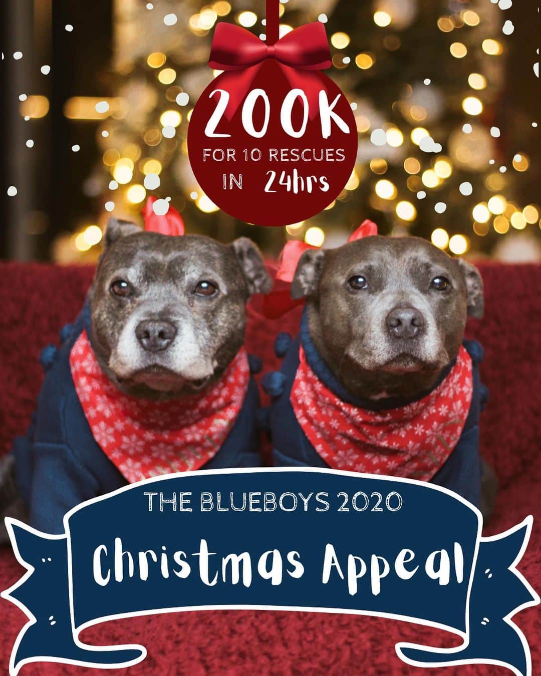 DARREN&PHILLIPさんのインスタグラム写真 - (DARREN&PHILLIPInstagram)「It’s finally here!!! Our 2020 Blueboys Christmas Appeal!!! 😱😱😭😭♥️♥️ Today, we will attempt to raise $200K for ten incredible dog rescues and dogs all over the world in just 24 short hours!! ARE YOU WITH US!? 😍🙏🏻🙏🏻 LINK IN BIO ♥️🙏🏻 I was thinking about what I need to do next week to tick off all my usual pre Xmas erins. I need to go shopping on Monday Tuesday, I need to wrap gifts, we’re taking my family light spotting next Wednesday, I need to prepare all the food on Thursday, it’s a pretty standard pre Christmas week that I’m sure you can all relate to. But the people in rescue don’t do it this easy. They’re out there right now, as you and I prepare for a lovely family Christmas, facing horrific scenes to save dogs. They’re getting home late for dinner, skipping the Christmas movies and the family catch ups. They’re doing it tough ALL for the deep passion they have for rescuing dogs. I know I couldn’t do it, I couldn’t face that kind of sadness and stress day in day out. But I can donate money. I care so much about it, and I know you all do too. Donating money is one thing we CAN do to do our part. To enable these people to do what they need to do. We CAN do that ♥️🙏🏻 I know it’s been a horrible year and has left many of us in financial hardship, but so many of you said that even if you can only spare $2 you still would, and honestly that’s all we’re asking for. Imagine just $2 from all 700K of you? 😅 that’s not realistic because Instagram would never let us reach all 700K of you! But YOU can help us with that too! You can SHARE and comment so that as many people as humanly possible see this today.  Rescues around the world are struggling to keep their doors open as a result of the terrible year that’s been. Without them so many dogs would be homeless, left in dire need of medical attention and ultimately left to die. Today is our chance to do something SO good for these rescues right before Christmas.   The photos in the next slides are incredible gifts we’ve received to help us with our fundraiser. $2009 worth! You can win ALL OF THIS by simply sharing the first photo to your page, tagging us, and urging your followers to donate! Link in bio 🙏🏻😩♥️」12月18日 8時07分 - the_blueboys