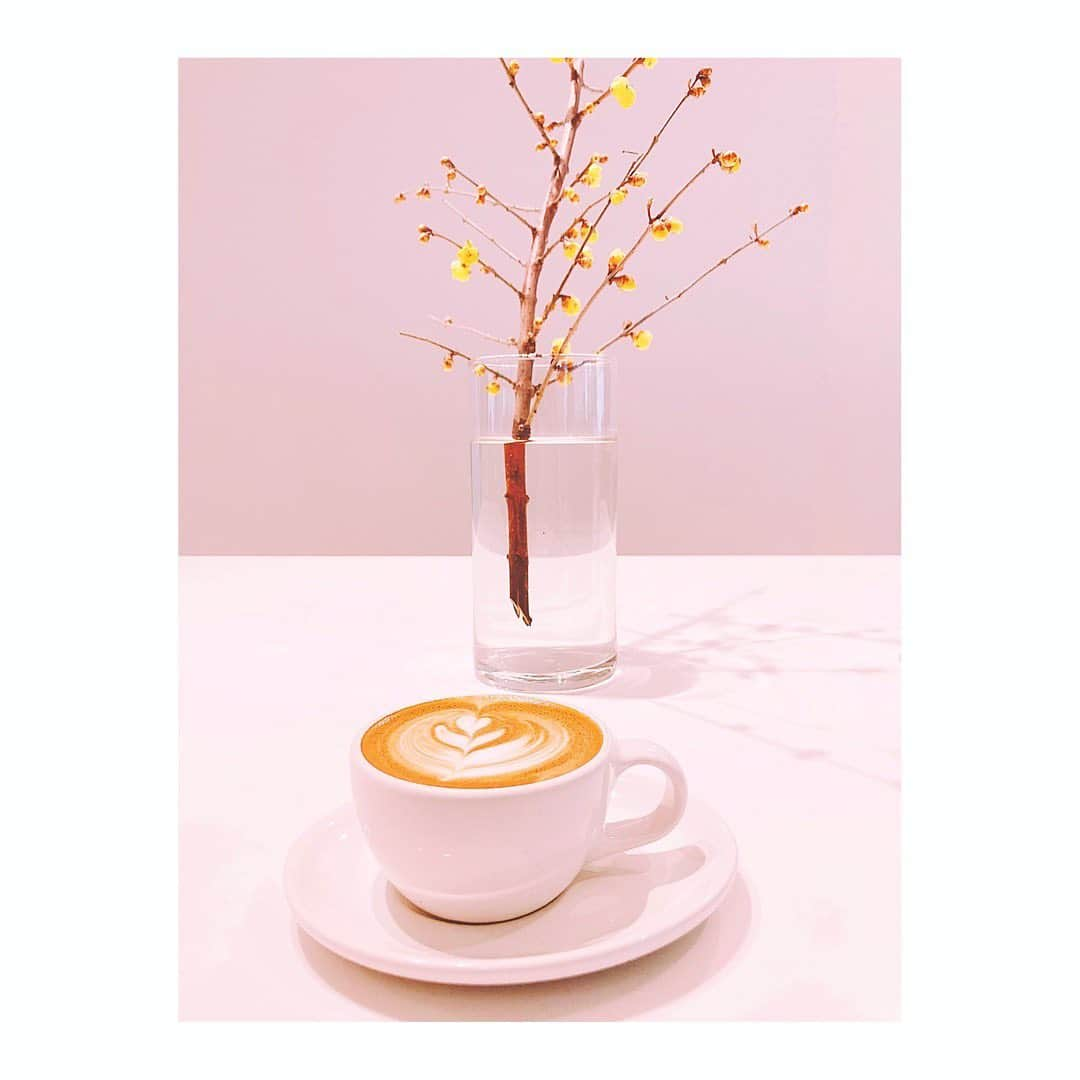 宮本笑里さんのインスタグラム写真 - (宮本笑里Instagram)「#bluebottlecoffee」12月18日 8時39分 - emirimiyamoto