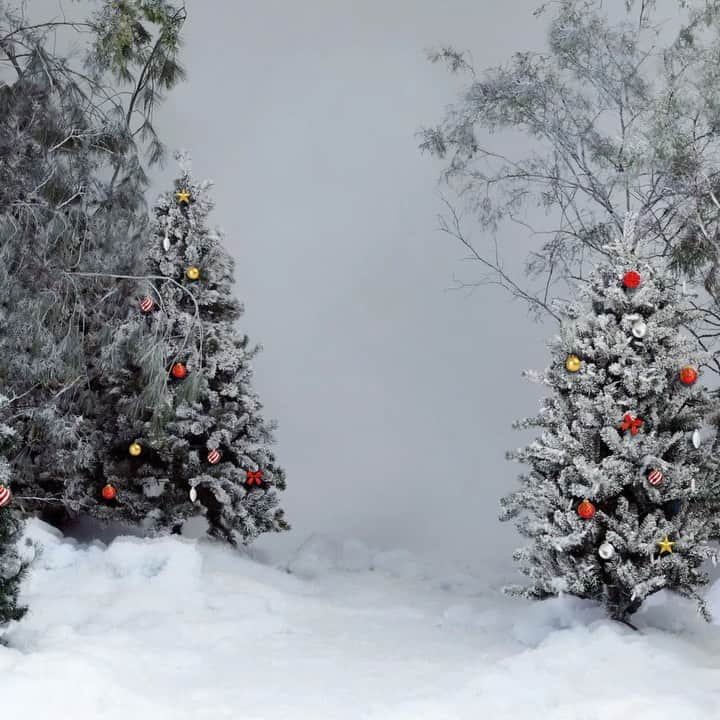 のインスタグラム：「A few of my friends wanted to share some of their holiday how-to videos with you! Get holiday hair tips from @melissaschleicher, style tips from @hunterpremo, and health tips from @caraclarknutrition! Check them out at carrieswinterwonderland.com! #WinterWonderland ❄️」
