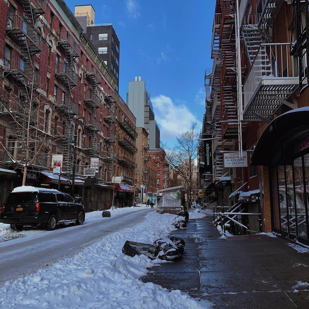薮下柊さんのインスタグラム写真 - (薮下柊Instagram)「Mood ⛄️❄️  : 寒いけど清々しい1日でした🌨✨ #newyork #nyc #snow #snowday #snowman #lowermanhattan」12月18日 8時58分 - __yabushita_shu__