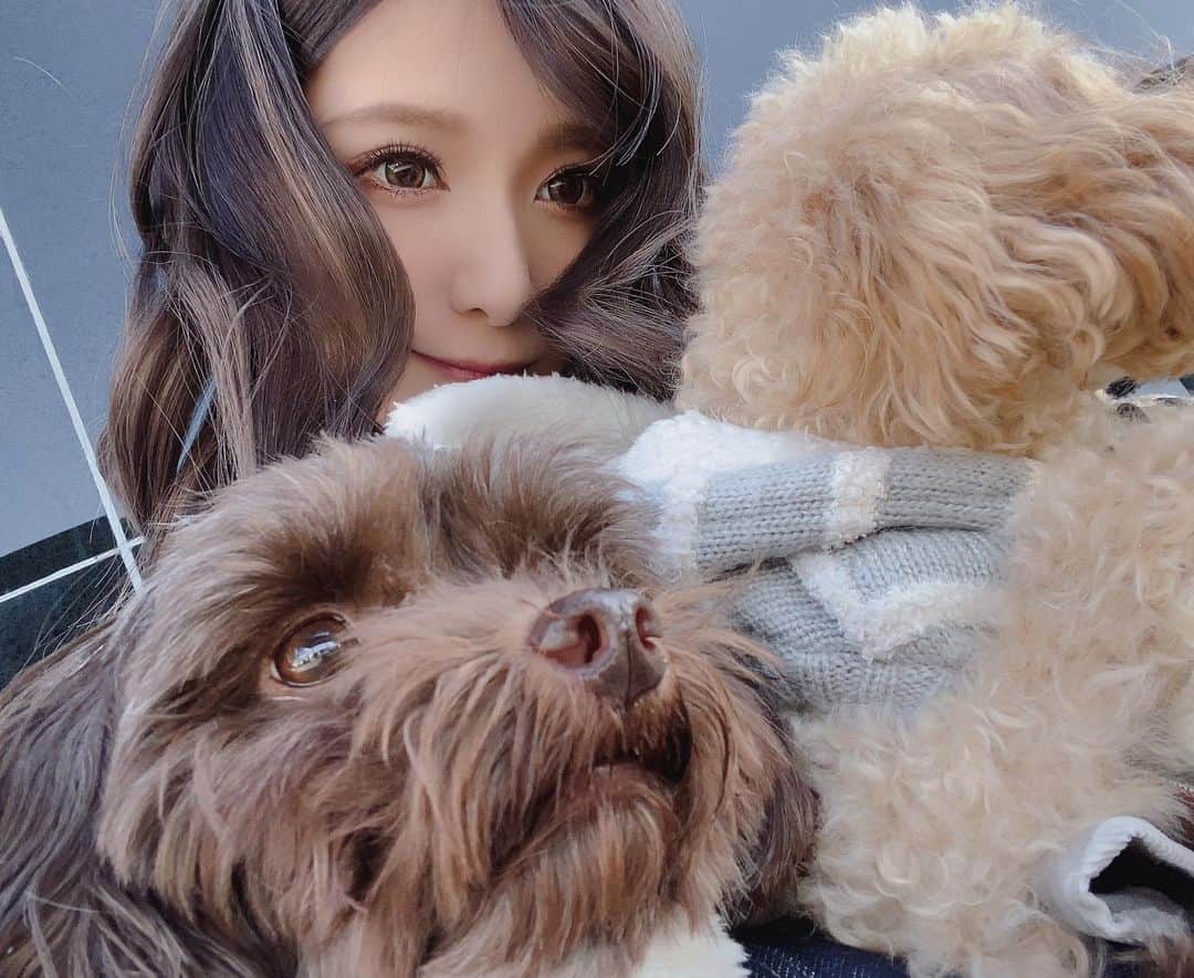 園田みおんのインスタグラム：「娘たちとの懐かしシリーズ‪‪☺︎‬﻿ ﻿  ﻿ ﻿ #犬のいる暮らし  #娘たち #我が家のアイドル  #チワプー #トイプードル #懐かシリーズ」