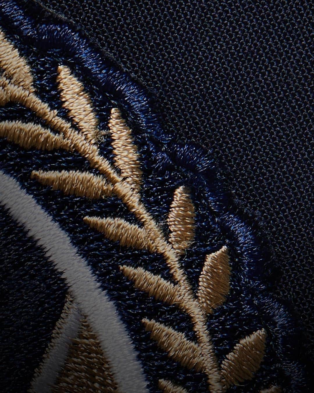 のインスタグラム：「A first peak at the official #BrooksBrothersxSportsIllustrated Sportsperson of the Year blazer. Tune into the SI Awards this Saturday at 7 PM for the full reveal @SportsIllustrated @SIAwards」