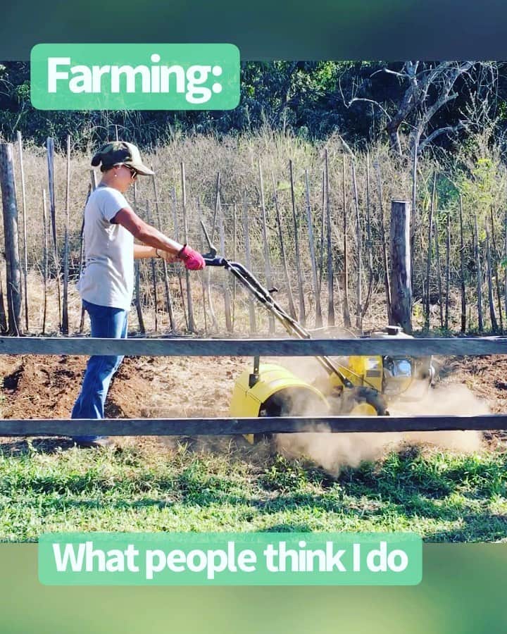 ティファニー・ヨハのインスタグラム：「“I’m FARMING!!!!” -Tiff Joh」