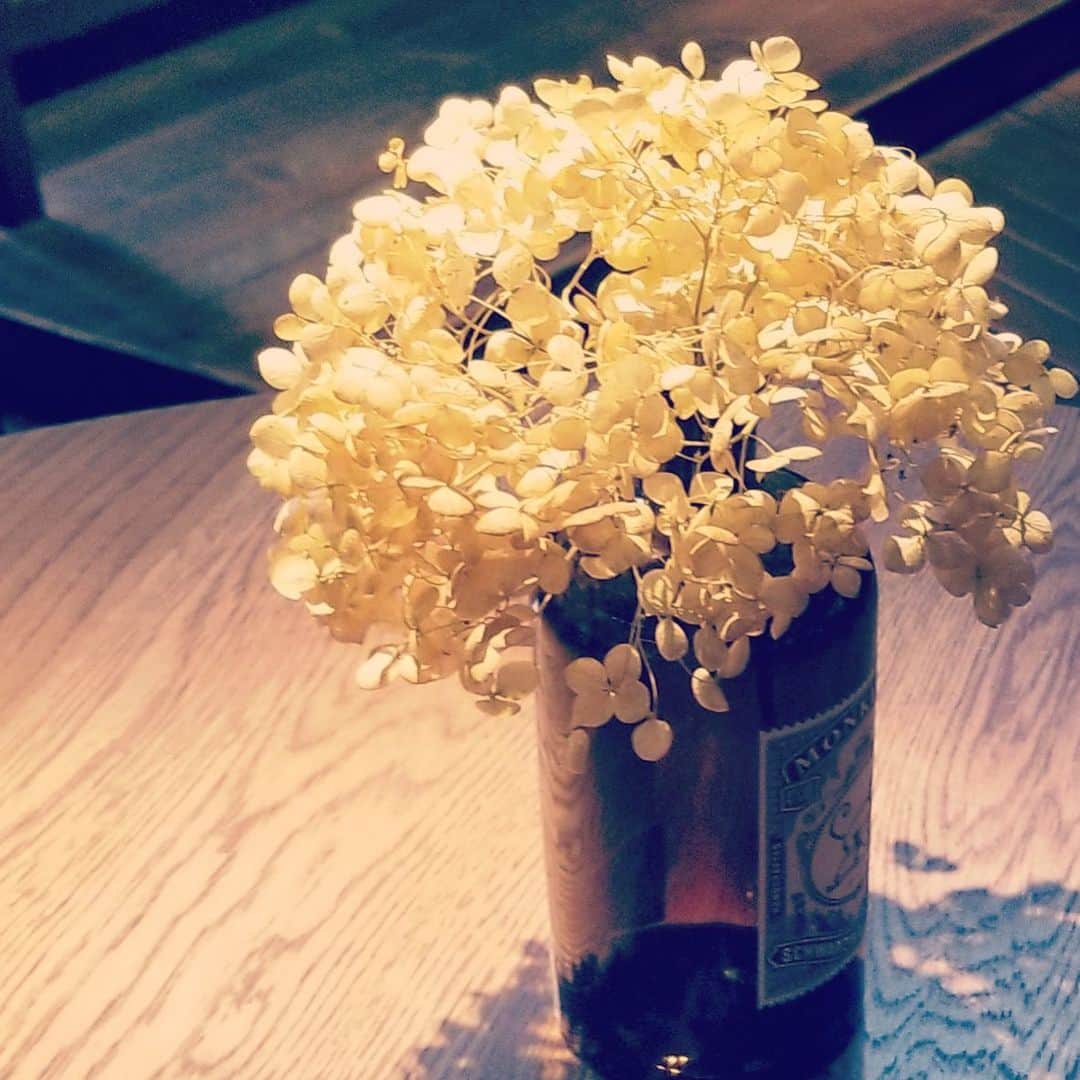 前田真里さんのインスタグラム写真 - (前田真里Instagram)「#flowers  #cafe」12月18日 18時54分 - maedamari
