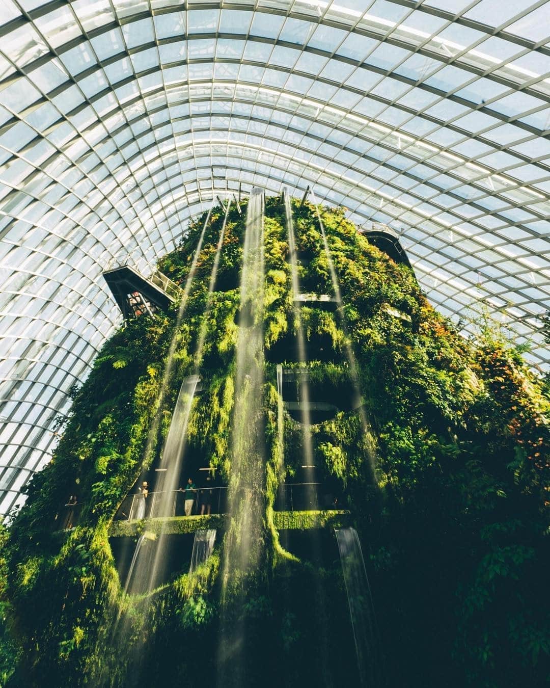 キャセイパシフィック航空さんのインスタグラム写真 - (キャセイパシフィック航空Instagram)「While most greenhouses protect plants from the cold, the Flower Dome 🌷 and the Cloud Forest ☁ are cool conservatories that allow the cultivation of plants from colder climates in sunny #Singapore. Not only are they architectural marvels, the Flower Dome is also the largest glass greenhouse in the world!⠀ ⠀ 有別於一般的溫室，#新加坡 的花穹🌷和雲霧林兩個「冷室」為外地物種提供了理想的種植環境；而花穹更是全球最大的玻璃溫室，堪稱現代建築的奇蹟。⠀ ⠀ 📸: @edwardkb⠀ ⠀ #cathaypacific #MoveBeyond #gardensbythebay #marinabay」12月18日 19時00分 - cathaypacific