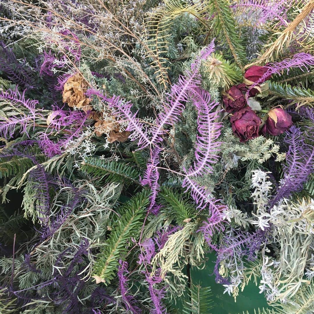 甘楽さんのインスタグラム写真 - (甘楽Instagram)「ラフォーレいっぱいお花あった どこを見ても綺麗で癒された」12月18日 19時07分 - n__feni