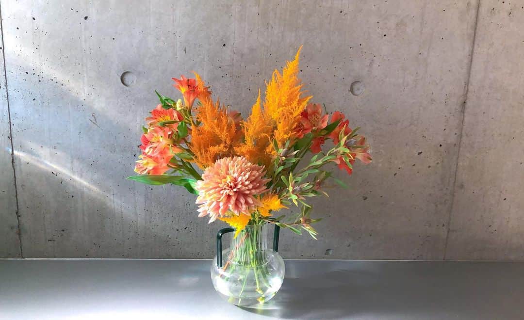 石川瑠利子のインスタグラム：「. . 朝はいってくるこの光の感じがとても好き💐 . . #flower #roku #interior #photo #home」