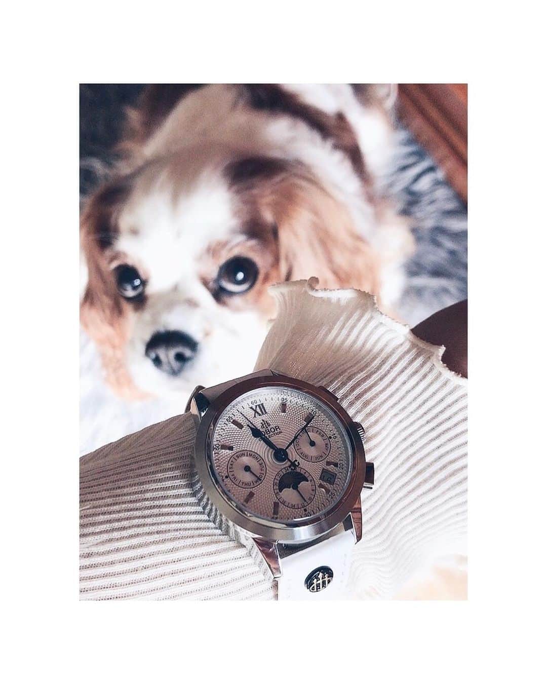 大谷芽衣さんのインスタグラム写真 - (大谷芽衣Instagram)「・ ・ ・ #swipeleft  可愛い娘とお気に入りの時計。 @loborjapan  わたしのしあわせたち。 笑顔の源。 がんばれ、うにちゃん。 明日も可愛い時計を身に付けて 我が子と日向ぼっこできますように。 明日も笑顔で過ごせますように。 しあわせな時を刻めますように。 ・ Watch詳細 @loborjapan  ✓CELLINI S DES VOEUX  (WHITE)35mm ・ 大切な人へのクリスマスプレゼントや 贈り物を悩んでるあなた @loborjapan さんの腕時計は いかがですか？ クーポンあるのでよかったら使ってください♡ 10%off coupon…otanilj73 ・ ・ #ロバー #時計 #腕時計 #lobor #クリスマス #ペアウォッチ #プレゼント #手元くら部 #手元倶楽部 #手元コーデ  #腕時計くら部 #白ニット #白コーデ」12月18日 19時10分 - otani_mei