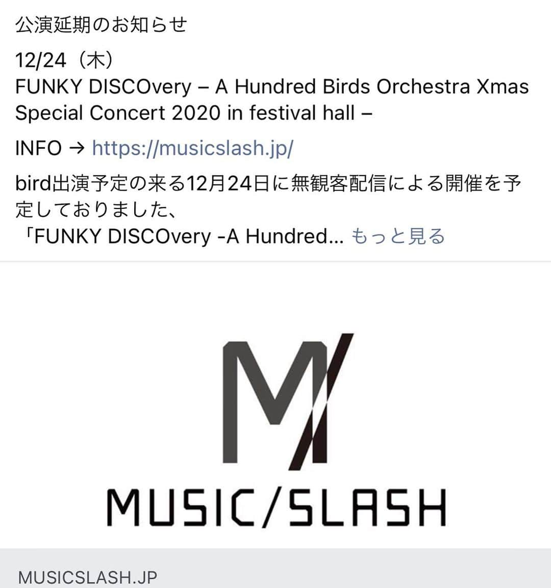 birdのインスタグラム：「公演延期のお知らせです。  公演延期のお知らせ「12/24（木）FUNKY DISCOvery – A Hundred Birds Orchestra Xmas Special Concert 2020 in festival hall –」 INFO → MUSIC/SLASH  bird出演予定の来る12月24日に無観客配信による開催を予定しておりました、 「FUNKY DISCOvery -A Hundred Birds Orchestra Xmas Special Concert 2020 in festival hall-」 は大阪府の医療体制の逼迫状況、大阪府新型コロナ警戒信号「赤色（非常事態）」の継続決定を鑑み、 大編成のオーケストラをはじめ、スタッフを含む総勢１００名に及ぶ公演関係者の移動・リハーサル時等における安全性が懸念されることからコンサートを延期させていただくことになりました。 開催を心待ちにしてくださっていた皆様には心よりお詫び申し上げます。  振替公演の日程等につきましては、2021年の開催を目途に今後調整をおこないます。 振替公演の日程・返金等の詳細が決定次第、ＭＵＳＩＣ／ＳＬＡＳＨのホームページ等でご案内させていただきますので、今しばらくお待ちいただけますと幸いです。  今もなお、私たちの生活を支えるために、医療やさまざまな分野で懸命に努力してくださっている皆様には心から感謝申し上げます。  感染拡大が終息に向かい、皆さまと安心してコンサートを楽しめる日々が１日も早く戻ってくることを願っております。  どうかその日までくれぐれもご自愛ください。  ▼払い戻し等詳細は下記サイトをご覧ください。 https://musicslash.jp/」