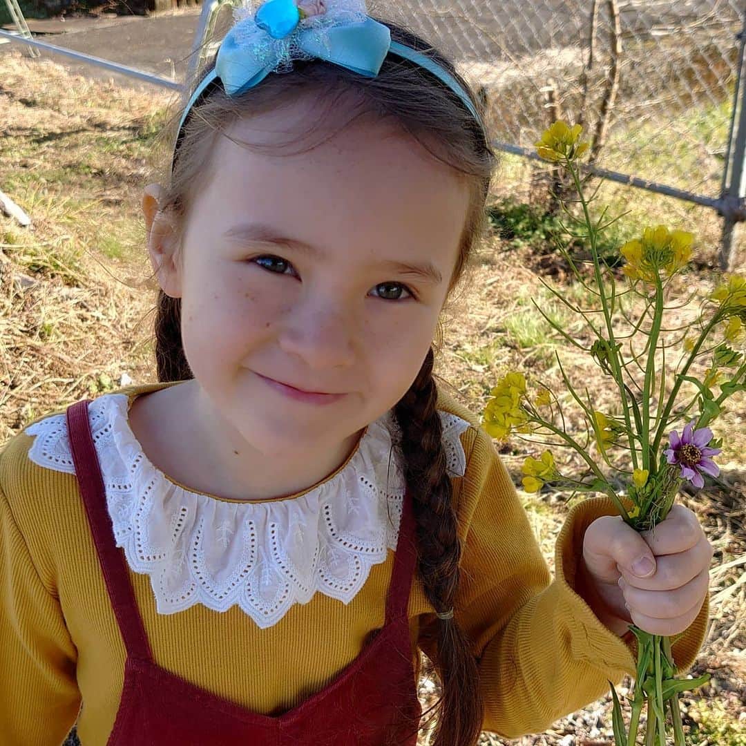 ピーチフラワーのインスタグラム：「· ※長文です · Hanaが保護した片方の鎌を失くしたカマキリ 名前は「コスモス」 片手では上手く獲物を捕らえられなかったのか元気があまりないカマキリでした。 毎日お水をHanaの手からあげて少しずつ元気になりました。 ハリガネムシ(寄生虫)のチェックも2回して大丈夫でした。 · お散歩にもお買い物にもいつもHanaの頭に乗せて連れて行きました。 「コスモス」と呼ぶと前脚を動かしてHanaの方を向いたり、とても賢いカマキリでした。 · ある朝、コスモスはいつもより元気がありませんでした。 手からお水をあげても沢山飲めません。 Hanaの頭にも力がなくて乗っていることができません。 その日は、お散歩には行かず家の前でコスモスを抱いて遊びました。 · 虫の知らせ?というか、マミーは急にHanaの様子が気になり外に出てみました。 · ガールズ3人が黙って立っていました。 Hanaは手のひらにいるコスモスを見つめて、ポロポロ涙を流していました。 泣いて話ができないHanaに代わってMomoが、コスモスがHanaに抱かれたまま亡くなったと説明してくれました。 · しばらくの間、号泣するHanaでしたが、「コスモスは独りぼっちで死んでしまうより、お水を飲んで少しの間だけどHanaと遊べて良かったと思ってるかな」と小さな声で話しました。 · みんなでコスモスと出会った原っぱに行って土に埋めました。 近くにあったお花も摘んで供えました。 · Hanaは「コスモスにはコスモスの花をあげたい」と言うので、それから4日間毎日コスモスを探しました。 秋には道端や原っぱで沢山のコスモスが咲いていましたが、冬になって全く見つかりませんでした。 5日目に車で遠くまで探しに行ってやっと1輪だけ小さなコスモスを見つけました。(写真に写っているピンクの小さい花です) · そのコスモスの花を持ってコスモスのお墓に向かう途中でHanaが見た夢を教えてくれました。 夢の中でコスモスは両方とも鎌があって元気に両手を動かしていたそうです。 · 大好きなコスモスの元気な姿に夢の中で会えた事とコスモスの花をあげる事ができたHanaは今は、もう泣いてはいません。 · · #カマキリ大好き #夢で会えた #冬のコスモス #三姉妹 #ピーチフラワー」