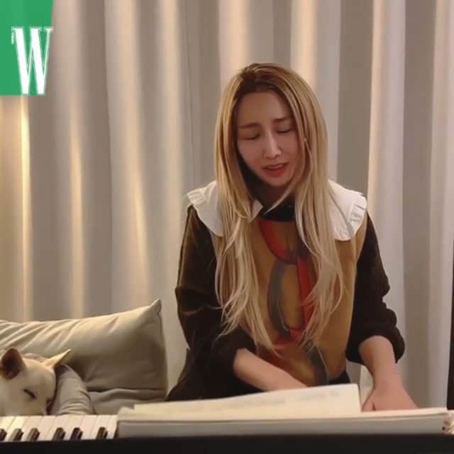 Brown Eyed Girlsのインスタグラム：「[#JeA] My Grown Up Christmas List🎄  Reposted from @wkorea #W인생캐롤 믿고 듣는 보컬, 제아가 학창 시절 많이 들었다던 인생캐롤은 뭘까요? 유명 작곡가인 데이비드 포스터의 My Grown Up Christmas List입니다. 마이클 부블레, 캘리 클락슨 등 여러 아티스트의 버전이 있는데요. 잔잔한 피아노 연주와 함께 들려준 제아 버전의 캐롤은 얼마 전 가족이 된 홍숙이도 단잠에 빠지게 했군요. 여러분도 오늘 밤은 이 곡으로 따듯하게 마무리해보세요! 풀버전은 더블유 코리아 유튜브에서 확인 할 수 있습니다. @wkorea #editor_김다혜 - The World-paying attention musician Holland and Jazz R&B singer-songwriter Davii’s sweet carol harmony! You can enjoy the full video on W KOREA YouTube channel. - 콘텐츠 에디터ㅣ김다혜  편집ㅣ김다혜,선우현」