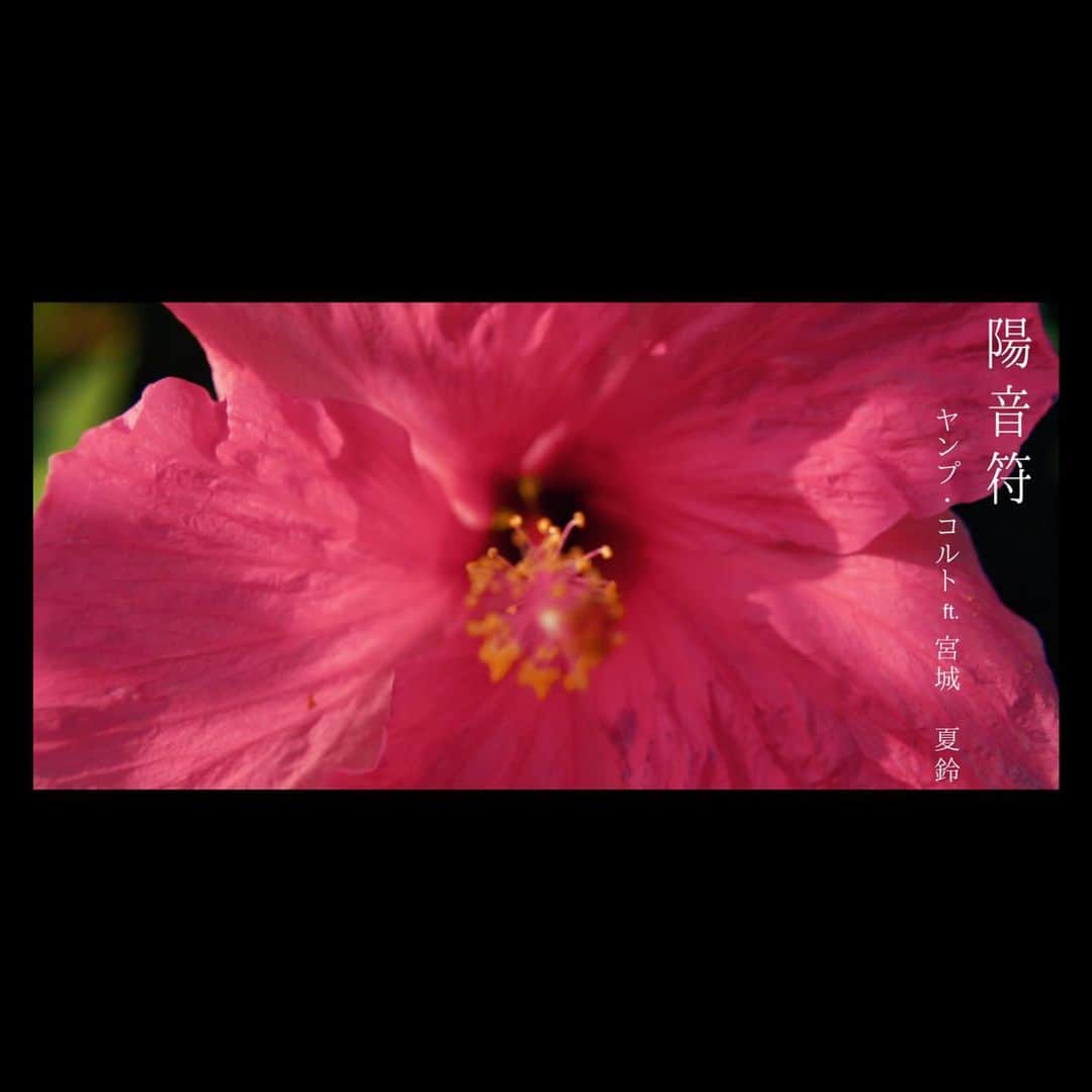 宮城夏鈴さんのインスタグラム写真 - (宮城夏鈴Instagram)「"Hionpu" is now out on YouTube  はじめてのうちなーぐちでの オリジナル楽曲をYouTubeにUPしました。  沖縄の自然が美しいビデオになりました😌 ぜひ、YouTubeで聞いてね！」12月18日 19時25分 - karin_karin0516