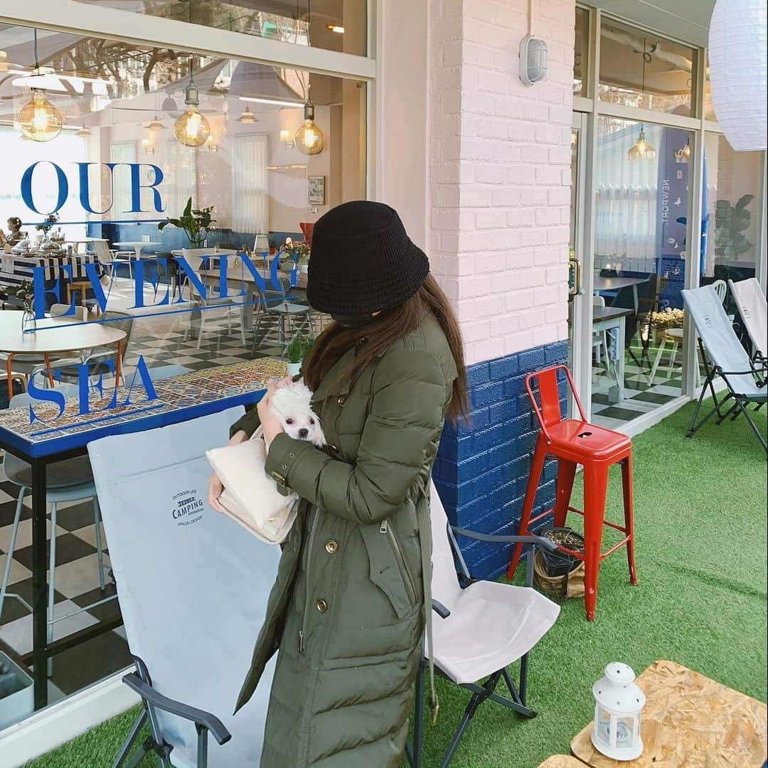Choi Somiさんのインスタグラム写真 - (Choi SomiInstagram)「⠀⠀⠀⠀ #글랜더 #glander  우리 이루 중성화 후 첫 외출 산책 신나게 했구요🖤」12月18日 19時46分 - cxxsomi
