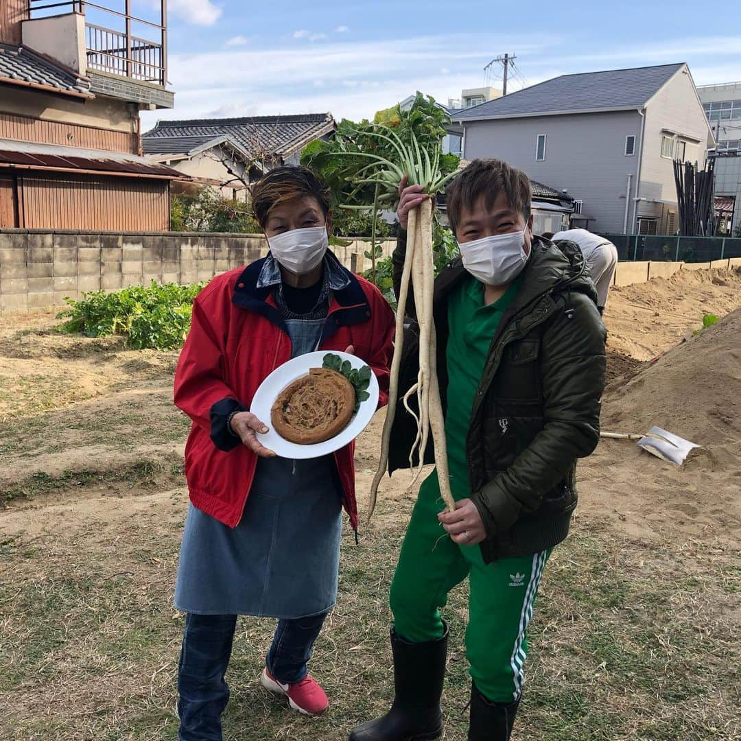 土肥ポン太のインスタグラム：「大阪の守口市で「守口大根」の取材。すご〜く細くて長いよ〜 #守口大根#土肥ポン太#守口市#大根」