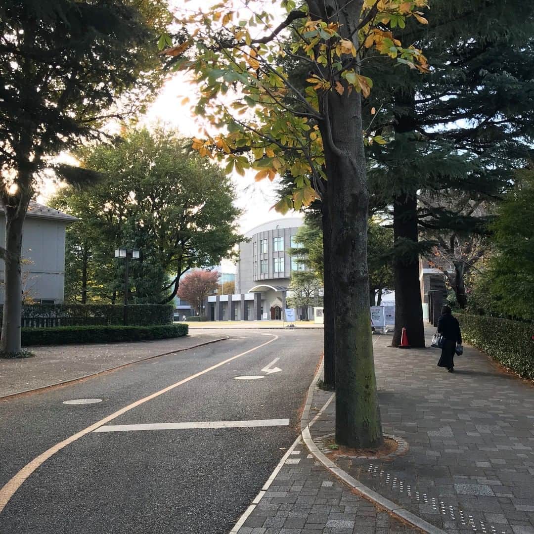 のインスタグラム：「#rikkyouniversity #立教 #立教大学 #ikebukuro #新座 #coregraphy #photography #ファインダー越しの私の世界」