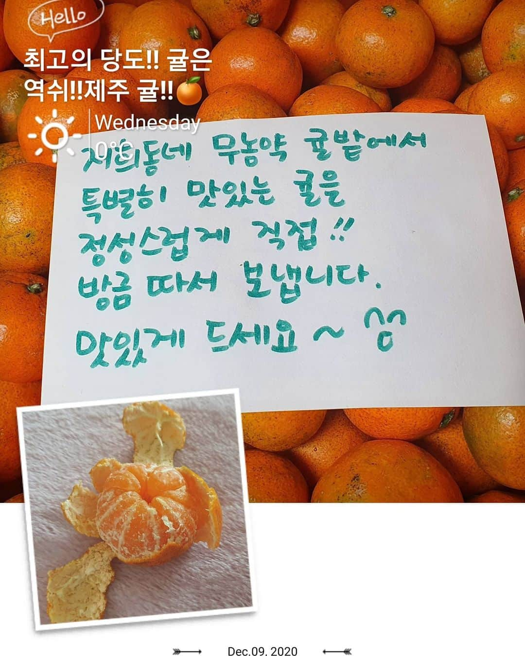 イ・レさんのインスタグラム写真 - (イ・レInstagram)「반 할수 밖에 없는 제주 귤.🍊  미영.... 책임져!!.. 이제 다른 귤🍊 못 먹는다고...😋  친구가 보내준 선물.🎁  이제야... 마음을 담아!!.... 고마워 😊💕  #제주귤 #제주사랑 #무농약귤#껍질이얇아 #앉은자리에서10개 #귤사랑#내입맛#책임져  #너무맛있어#고마운친구 #사랑해❤️」12月18日 11時22分 - leere0312