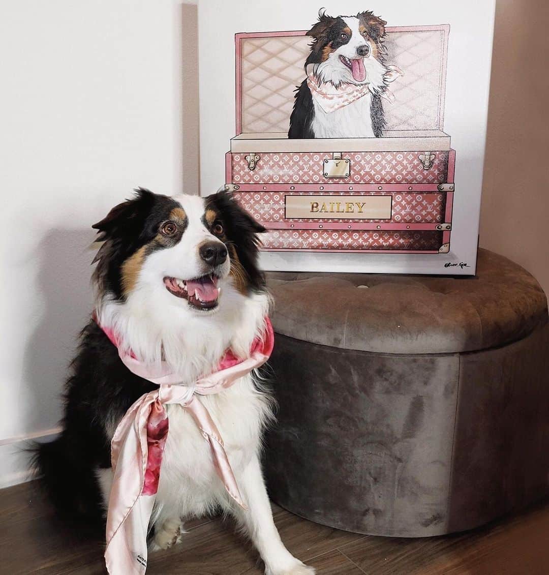 のインスタグラム：「The perfect gift takes time... our custom pet portraits are hand illustrated so even though they wont make it on time for the holidays, they are the perfect gift for any fur parents in your life 🐶💓 #olivergal⁠ ⁠ ⁠ ⁠ 📷 @cortneyalisoncarter」
