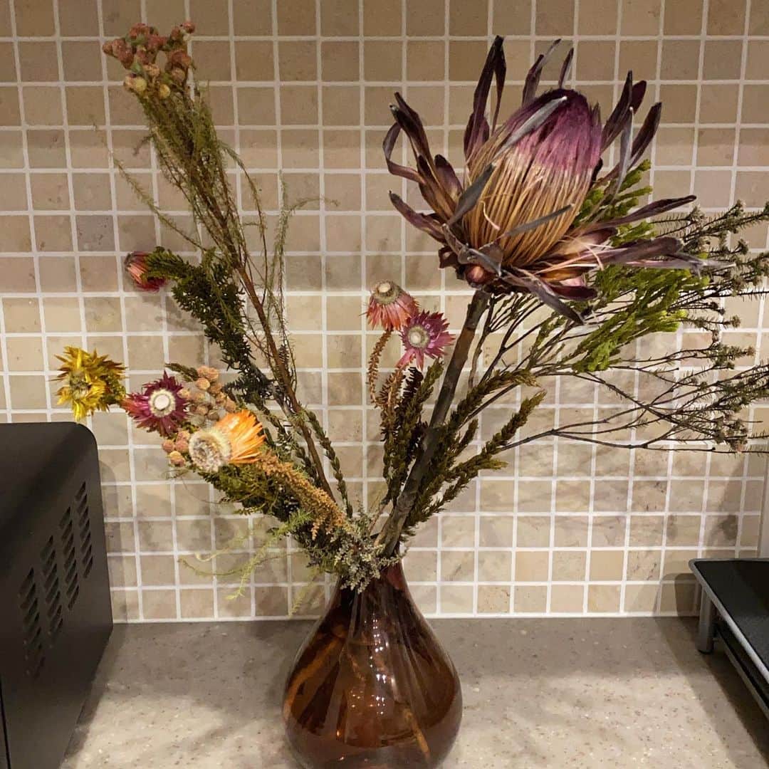 小森美果さんのインスタグラム写真 - (小森美果Instagram)「これ何の花なんだろ？」12月18日 12時03分 - mika.165