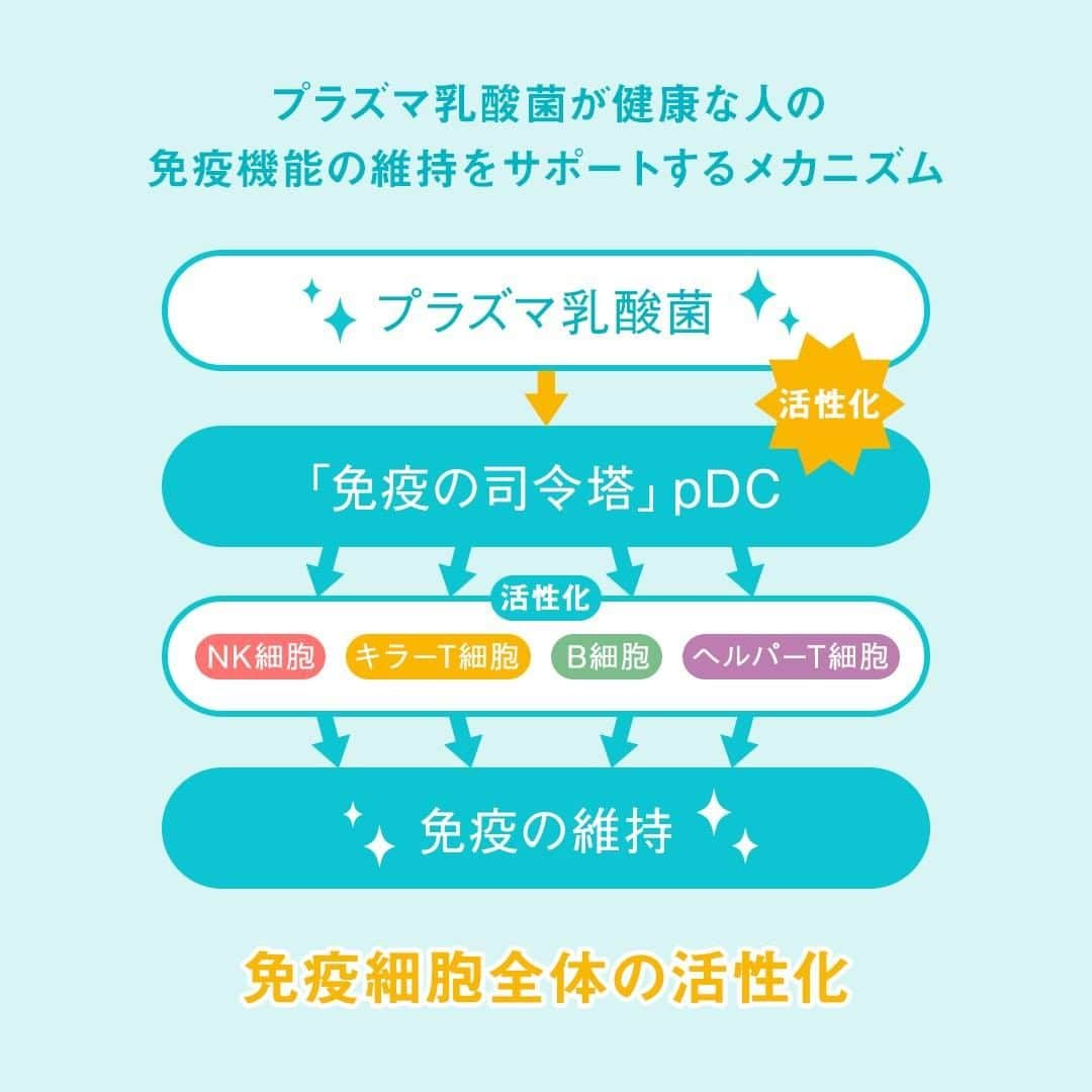 キリンビバレッジさんのインスタグラム写真 - (キリンビバレッジInstagram)「11/24（火）からリニューアルした「iMUSE」。 . これまでよりもさらに 毎日おいしく飲み続けて もらえるようになりました。 . 「iMUSE」は「プラズマ乳酸菌」の働きで 健康な人の免疫機能の維持をサポートする（※1）日本で初めての商品。 ※1 2020年9月 機能性表示食品の届出情報検索を用いた当社調べ . そこに配合されているのが「プラズマ乳酸菌」です。 「プラズマ乳酸菌」とは、どんなものなのでしょうか？ . 今回は「iMUSE」を担当する 遠藤 楓（えんどう かえで）に話を聞きました。 . ◆「iMUSE」が生まれたきっかけ 「iMUSE」は35年の免疫研究から生まれたブランド。 人が本来持つ「免疫」のチカラを信じ、 食を通じてお客様の健康な暮らしを守りたい という想いで乳酸菌の研究を開始しました。 . 研究を重ねるうちに発見したのが「プラズマ乳酸菌」でした。 この「プラズマ乳酸菌」を、多くの人が気軽に取り入れられるように、 さらに開発が進められ、2018年に「iMUSE」ブランドが誕生しました。 . ◆「プラズマ乳酸菌」って？ 免疫細胞にはそれぞれ上下関係があり、 免疫細胞を取り仕切る「pDC（プラズマサイトイド樹状細胞）」の存在があります。 . 「iMUSE」は「プラズマ乳酸菌」の働きで 健康な人の免疫機能の維持をサポートする（※1）日本で初めての商品。 ※1 2020年9月 機能性表示食品の届出情報検索を用いた当社調べ . 「プラズマ乳酸菌」はpDCに直接働きかけられる世界初の乳酸菌（※2）で、 健康な人の免疫機能の維持をサポートします。 そのメカニズムは、「プラズマ乳酸菌」が 「免疫の司令塔」pDCに働きかけ、 免疫細胞全体を活性化するというものです。 これによりカラダの防御システムが機能します。 . 「プラズマ乳酸菌」は2週間以上摂取し続ければ、​ 安定して免疫が維持されるという科学的エビデンスがあります。 2週間飲み続けてもらったあとに、 ぜひご自身の生活を振り返っていただきたいと思います。 . ◆さらに飲み続けたくなる味わいに 今回、リニューアルをしてお届けする味は3種類。 . 「キリン iMUSE レモン」は 以前よりもすっきりとした味わいになりました。 汗をかいたときにスポーツドリンクのように飲みやすい風味に。 さらにレモンの爽やかな香りで、飲み飽きないおいしさになりました。 （果汁1％） . 「キリン iMUSE 水」のおいしさはそのままに。 毎日のどんなときでも、水のようにゴクゴクすっきりと飲める味わいです。 . 「キリンiMUSE ヨーグルトテイスト」は甘すぎず、 すっきり飲める優しい味わいです。 ほんのり甘いので満足感のある飲みごたえも楽しんでいただけます。  どの商品も毎日飲み続けられるように、 飲みやすく、飲み飽きない味わいを目指して開発しました。 . ◆透明感と信頼感のあるパッケージを . パッケージに大きく描かれている聖獣麒麟を印象的に変更しました。 「iMUSE」がキリングループの中で 健康を代表するブランドでありたいという覚悟の表れです。 「iMUSE」を手に取るみなさまが、 少しでも安心して毎日飲み続けられるように取り入れました。 . ◆「iMUSE」を手に取るお客さまへ 心と身体は繋がっているもの。 ​どちらかが​健やかではない状態だと、 バランスが崩れてしまいます。 . 「iMUSE」は心も身体も健やかでありたいお客様に、 安心して手に取っていただけるように、 真摯に開発を続けてまいりました。 「iMUSE」を飲めば免疫を維持して毎日を前向きに過ごすことができる。 そんなお守りのような1本ができたと思っています。 . 「iMUSE」を飲むことで、 これを飲んでいれば安心だと信用してもらえる、 そんな1本ができたと思っています。 . まずは1本飲んでみて、2週間続けてみてもらえたら。 振り返ってもらったときに、 きっとこれまでと少し違った自分に出会えると思います。 . ※2ヒトでpDCに働きかけることが 世界で初めて論文報告された乳酸菌 （PubMed及び医学中央雑誌WEBの掲載情報に基づく) . ＊＊＊ . みなさまの暮らしに キリンビバレッジの商品が 寄り添えますように。 . ココロがうるおう、おうち時間を 「 #おこもりキリン」で ぜひ投稿してみてくださいね✨ . #キリンビバレッジ #キリン #キリンスタグラム #KIRINSTAGRAM #KIRIN . #iMUSE #イミューズ #プラズマ乳酸菌  #iMUSEではじめよう免疫ケア習慣 #イミューズレモン #イミューズ水 #イミューズヨーグルト #iMUSEレモン #iMUSE水 #iMUSEヨーグルト #レモンウォーター #ヨーグルトテイスト #水分補給 #小腹満たし #ミネラルウォーター #スポーツドリンク #乳酸菌飲料 #乳酸菌 #暮らしを整える #体を整える #生活習慣」12月18日 12時00分 - kirin_beverage