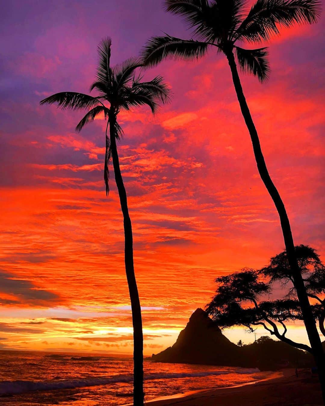 shihoのインスタグラム：「🧡🌴🧡🌴🧡 ・ 📍Mauna Lahilahi Beach Park ・ 西側にもお気に入りのビーチが たくさんある♡ この近くにHawaiiの友達が 住んでいた事もあって 想い出たくさんのよく行く お気に入りのばしょ。 ・ この日は燃えているかのような空の サンセットに出逢えて本当に綺麗だったの🥺 場所によって空の表情が違うから いろんな場所に行ってサンセットを見て お気に入りのサンセットスポットを 探すのも旅の楽しみの一つ♡  #hawaii#islandofoahu#oahu#ハワイ#trip #オアフ島#travel#loco_hawaii#travel_jp #funtorip#タビジョ#旅MUSE#genic_travel #genic_mag#たびねす#旅行#genic_hawaii #maunalahilahibeachpark#beach#sunset #サンセット#beachpark#sea#oahuhawaii #tabijyomap_hawaii#lealeahawaii#2020」