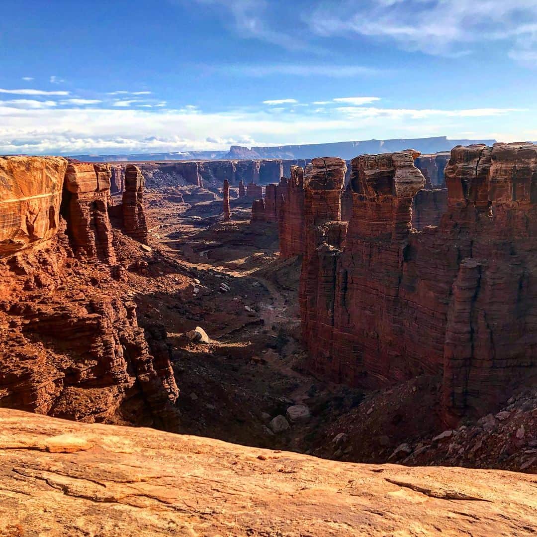 トミー・コールドウェルのインスタグラム：「Finished my 3 day desert tour with a hot lap on White Rim. Got to be a contender for for the most scenic dirt road in America. @iamspecialized @clifbar」