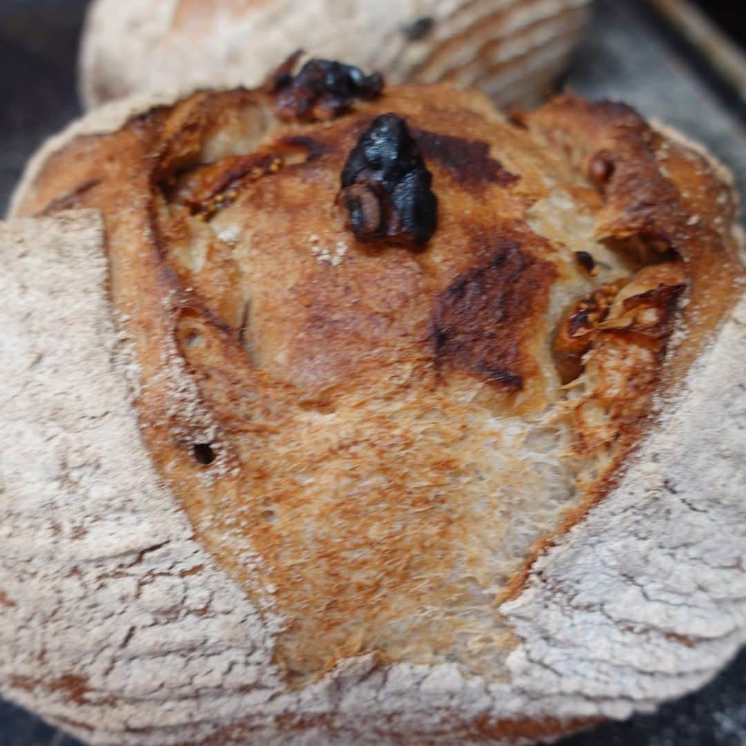 魔女菅原のグルメインスタ