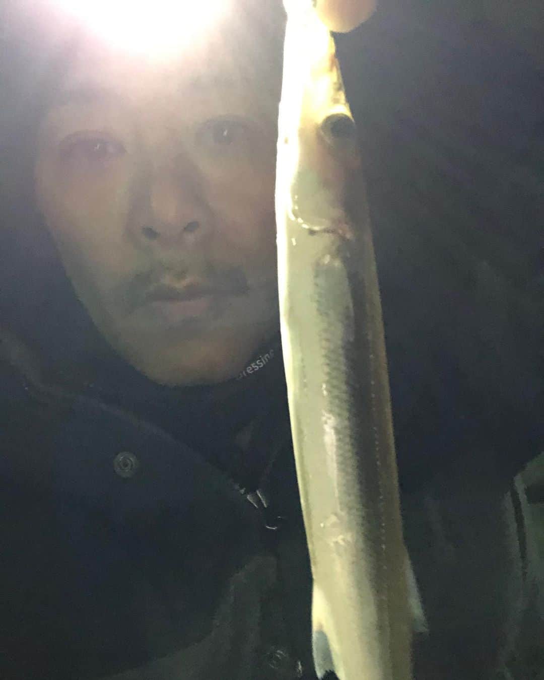 佐々木洋平のインスタグラム：「昨日の夜から南房総かな...  館山にカマスを釣りに🐟  漁港にカマスかなり入ってました🎣  #かます  #館山」