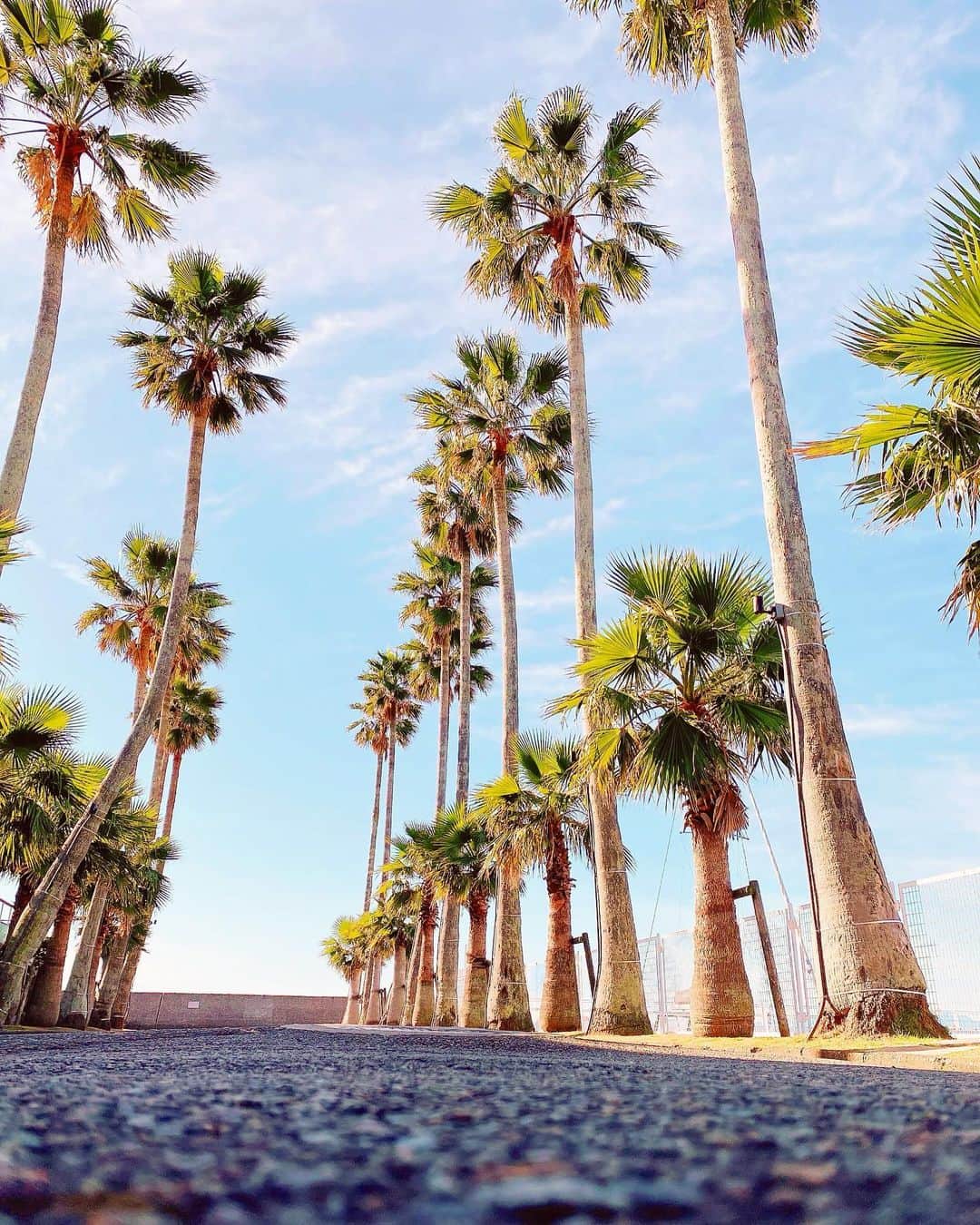 月中秋実のグルメインスタ