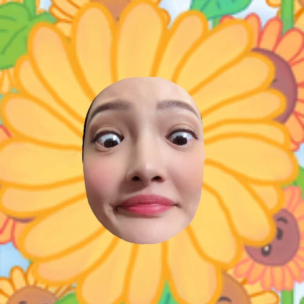 林映唯さんのインスタグラム写真 - (林映唯Instagram)「隨手拍的花花草草」12月18日 13時20分 - patricia_meimei