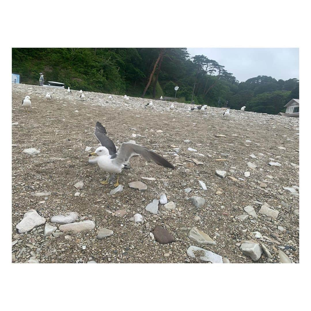 高野桃子さんのインスタグラム写真 - (高野桃子Instagram)「浄土ヶ浜！ 悪天候だったけれど、青の洞窟行けました！見ることができたらラッキーと言われてる波しぶきの景色を見られまして、それから幸せでいいことしか起こってない！！！ おすすめです！（※あくまで個人の感想です） 曇り女発揮パート2⛅️  #ANA#セレクトラベル #リポーター #岩手 #岩手旅 #iwate #iwatetrip  #浄土ヶ浜 #浄土ヶ浜青の洞窟」12月18日 14時01分 - takano_sd