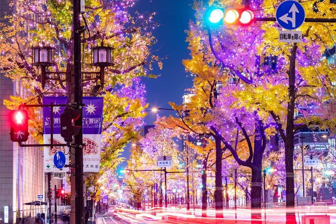 関西電力株式会社さんのインスタグラム写真 - (関西電力株式会社Instagram)「＼大阪のシンボルストリートを明るく元気に💡／ 今回ご紹介するのは「大阪・光の饗宴2020」のコアプログラムのひとつ、御堂筋イルミネーションの風景✨ 御堂筋を7つのゾーンにわけて、ゾーンごとに異なる色の重なりを表現しているそうですよ😊🌟 . ※イベントの最新情報等は公式HPをご確認ください --------------- 《投稿をご覧の皆さまへ》 関西電力Instagramでは、関西地方の灯、あたたかみのある風景のお届けを通して、皆さまの心に灯りがともるような癒しをお届けしてまいります。 外出の際は引き続き感染予防の徹底を心がけましょう。 --------------- . #イルミネーション #ライトアップ #夜景 #夜景ら部 #クリスマス #japan_night_view #夜景が綺麗 #夜景撮影 #大阪夜景 #灯りフォト部 #パワーフォト部 #大阪 #関西カメラ部 #御堂筋イルミネーション #イルミネーション2020 #loves_united_japan #ダレカニミセタイケシキ #bestphoto_japan #灯 #ptk_japan #絶景delic #日本の絶景 #絶景辞典 #貴重な体験 #景色最高 #tripgramjp #best_expression_night #あえてシェア #お写んぽ　#インスタスポット」12月18日 15時00分 - kanden.jp