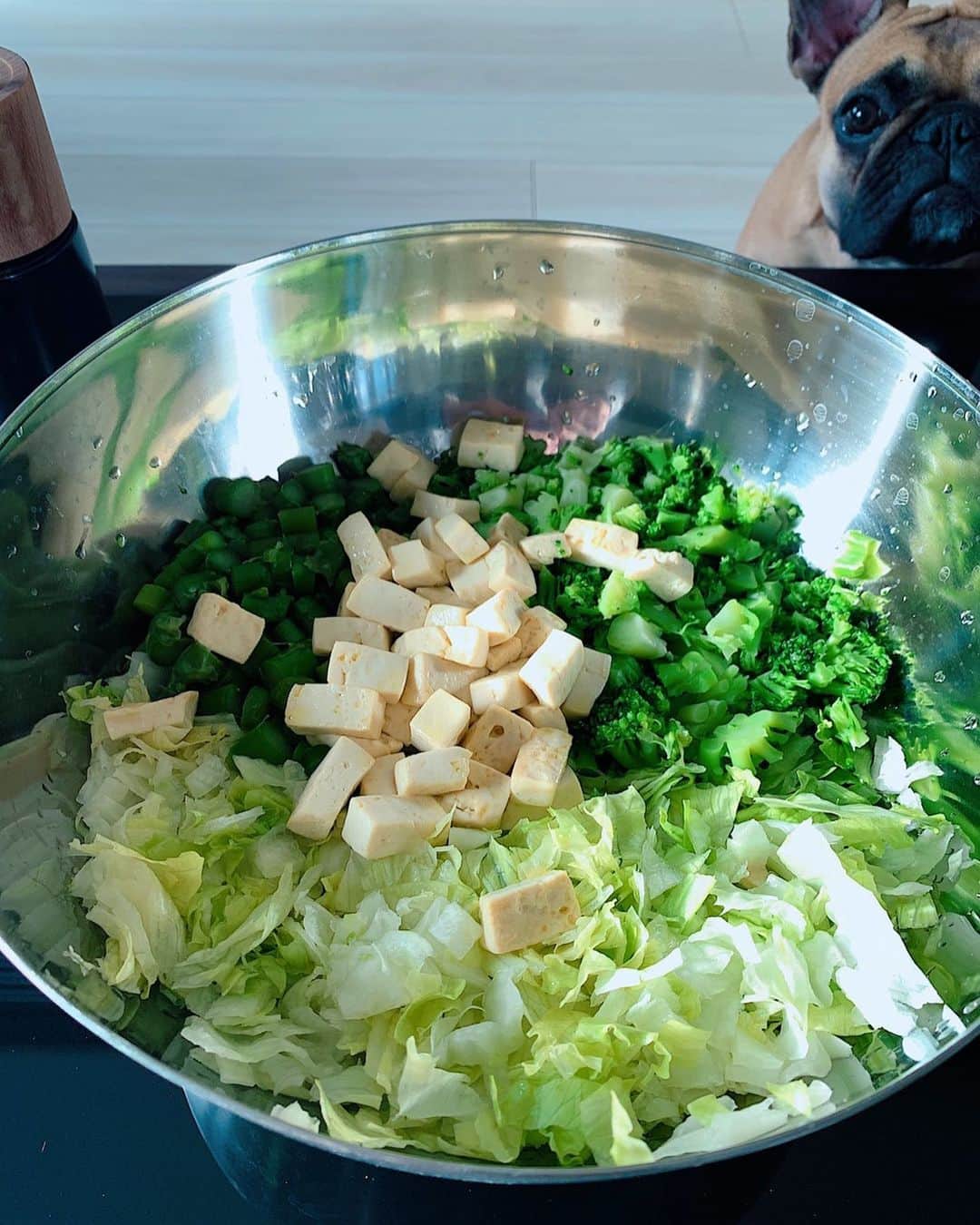KatoHinata のインスタグラム：「このサラダに敵うものはないってくらい美味しい😱 お豆腐もしっかりローストしてるんだ!!!! そして、自家製の生姜のドレッシングが美味しすぎて美味しすぎて、、、たまらん！！！！みんなにも紹介するね🥗❕🤍🥺 絶対はまるよ！！！野菜嫌いでも食べれちゃうかも🤔 . #サラダ #salad #野菜 #ヘルシー #healthy #加藤ひなた #ひなちゃんねる  #workout #ダイエット #diet #flex #筋肉女子  #筋肉」