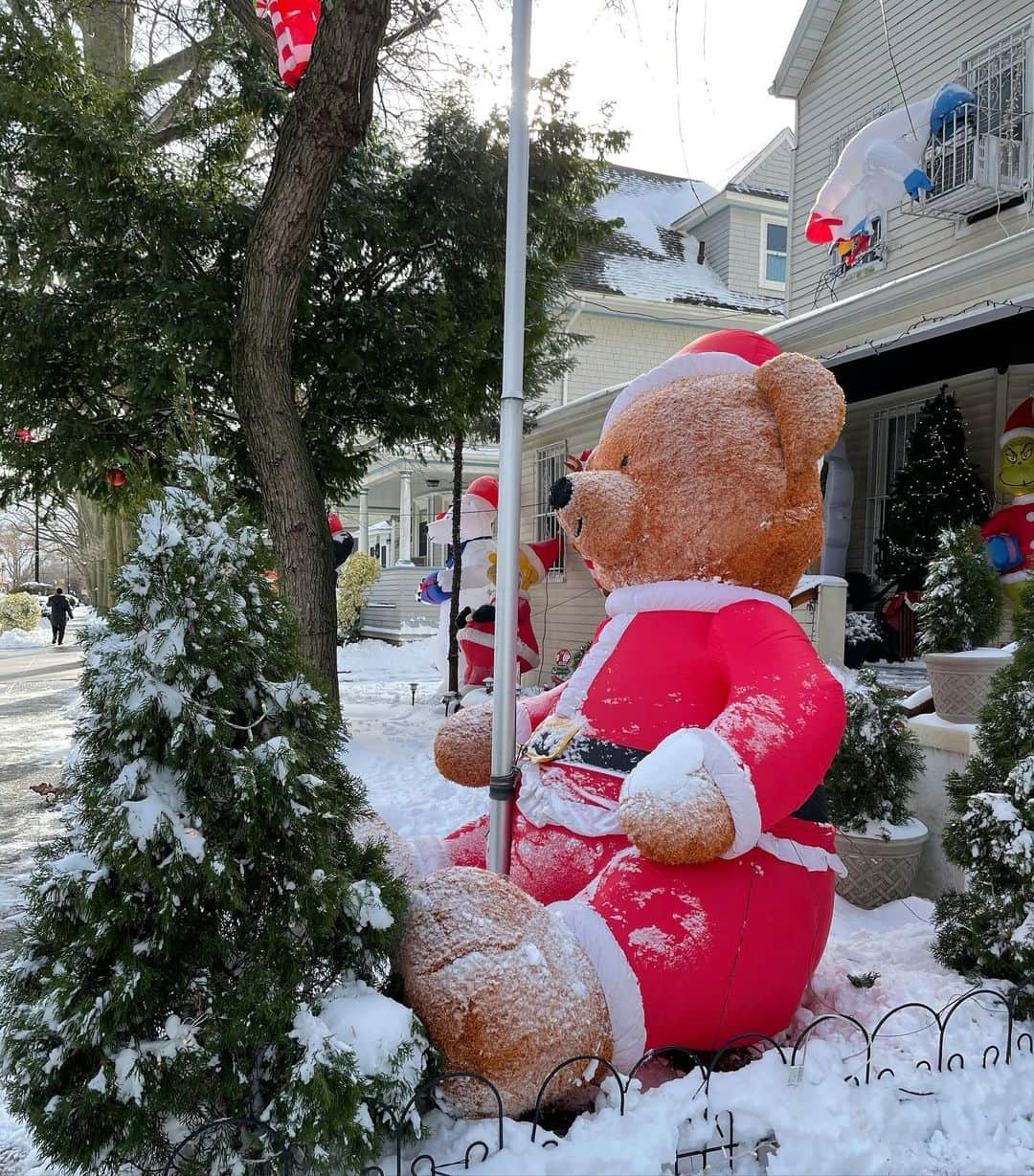 のインスタグラム：「SOMEONE is happy about the snow! ❄️」