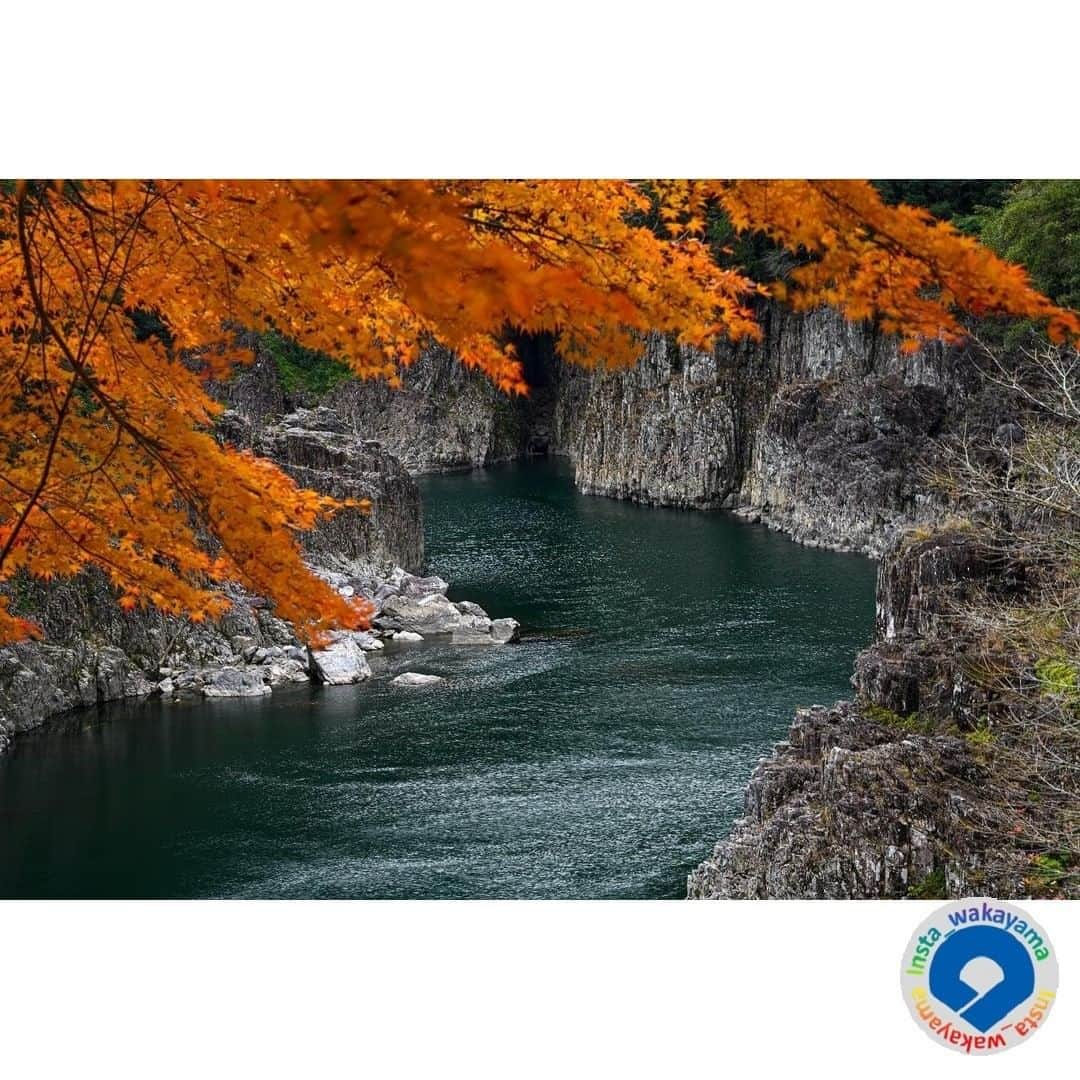 和歌山県さんのインスタグラム写真 - (和歌山県Instagram)「. Insta_Wakayamaでは、皆さんがハッシュタグをつけて投稿してくださった写真から、素敵な写真をご紹介させていただきます！ 本日のピックアップは @_taka1018_ さんのお写真です☆ ハッシュタグのご利用ありがとうございますm(_ _)m . こちらは新宮市の瀞峡で撮影されたお写真ですね👀 よくポスターなどで見かける山間の木々も青々とし、川の色もエメラルドグリーンの夏の瀞峡とは打って変わり、お写真の瀞峡は木々は紅葉へ変わり、川も深く落ち着いた群青色になってますね。 あたりまえですが瀞峡にも冬の顔があるんですね。 長らく瀞峡を運行していたウオータージェット🚢は今年のコロナ禍で4月から運休。その後も期間限定で運行していましたが来年1月1日に事業を休止されることになりました。 すごく残念です...。再開されるいつの日にかまた。 . 和歌山に関する投稿には「 #insta_wakayama 」のハッシュタグをつけてください★ 和歌山の魅力を皆さんで発信していきましょう！ ハッシュタグをつけると同時に、写真の場所の記載・位置情報の登録もお願いします🎵 なお、お写真を撮影される際は感染対策を十分に行ってくださいね。 . #瀞峡 #新宮市 #和歌山県 #和歌山 #dorokyo #shingu_city #wakayama #insta_wakayama #instameet_wakayama #wakayamagram #nagomi_wakayama #visitwakayama #retrip_news #japan #なんて素敵な和歌山なんでしょう」12月18日 15時20分 - insta_wakayama