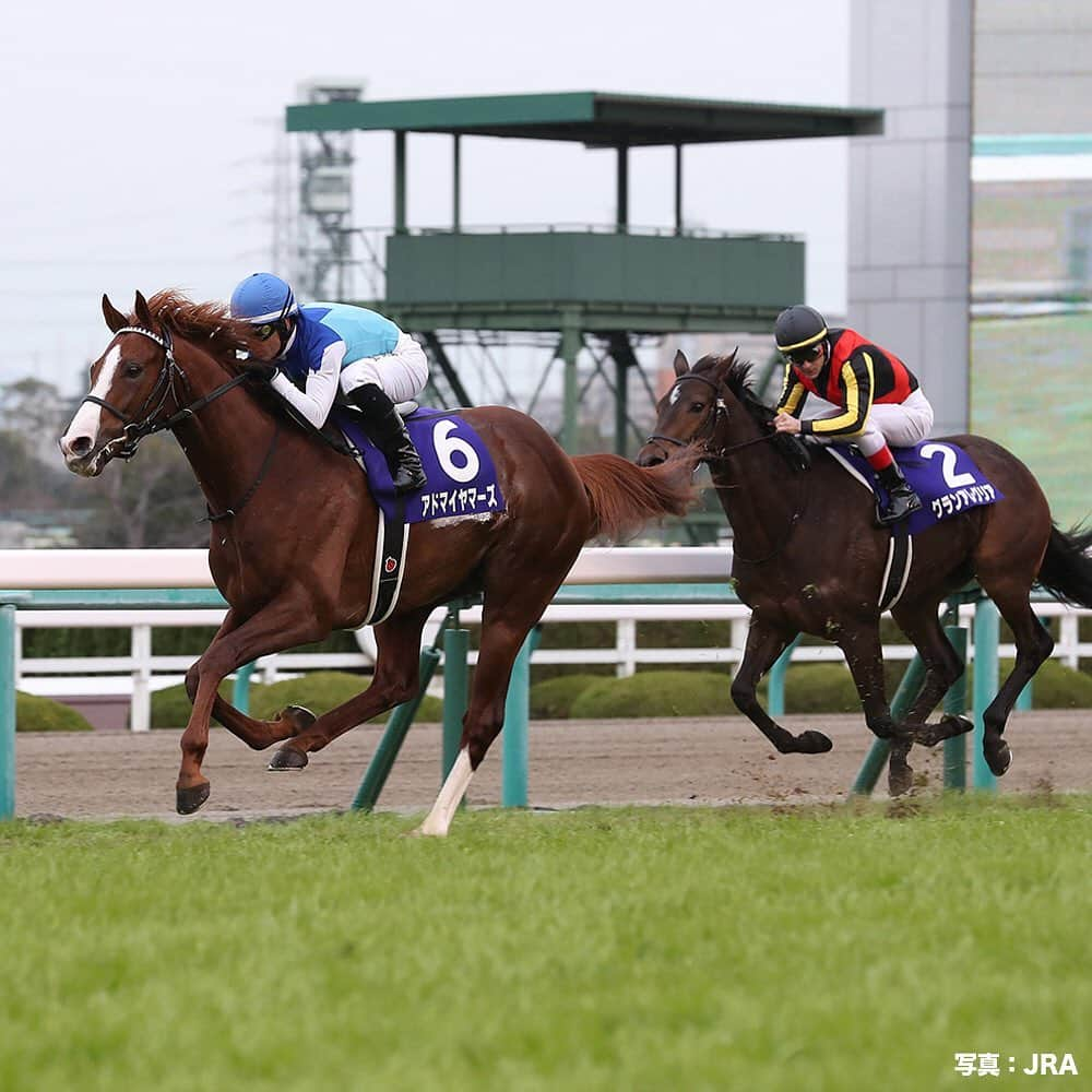 umabi_officialのインスタグラム：「今週末は、朝日杯フューチュリティステークス(GI)  #未来に向かって2歳の精鋭たちが集結 #2018年の優勝馬は #アドマイヤマーズ #国内外合わせて #マイルGIを3勝 #ちなみに #3着はGI4勝の #グランアレグリア だったよ #うまび #朝日杯フューチュリティステークス」