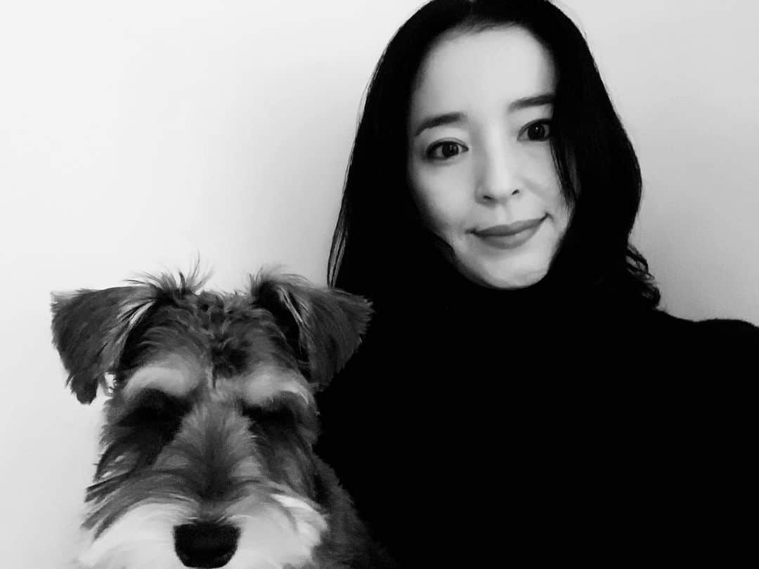 紺野千春さんのインスタグラム写真 - (紺野千春Instagram)「初シュナウザーカット! 記念に☺︎ #miniatureschnauzer #dog  #♀」12月18日 15時31分 - konnochiharu