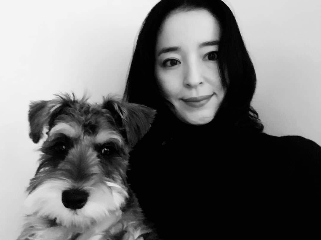 紺野千春のインスタグラム：「初シュナウザーカット! 記念に☺︎ #miniatureschnauzer #dog  #♀」