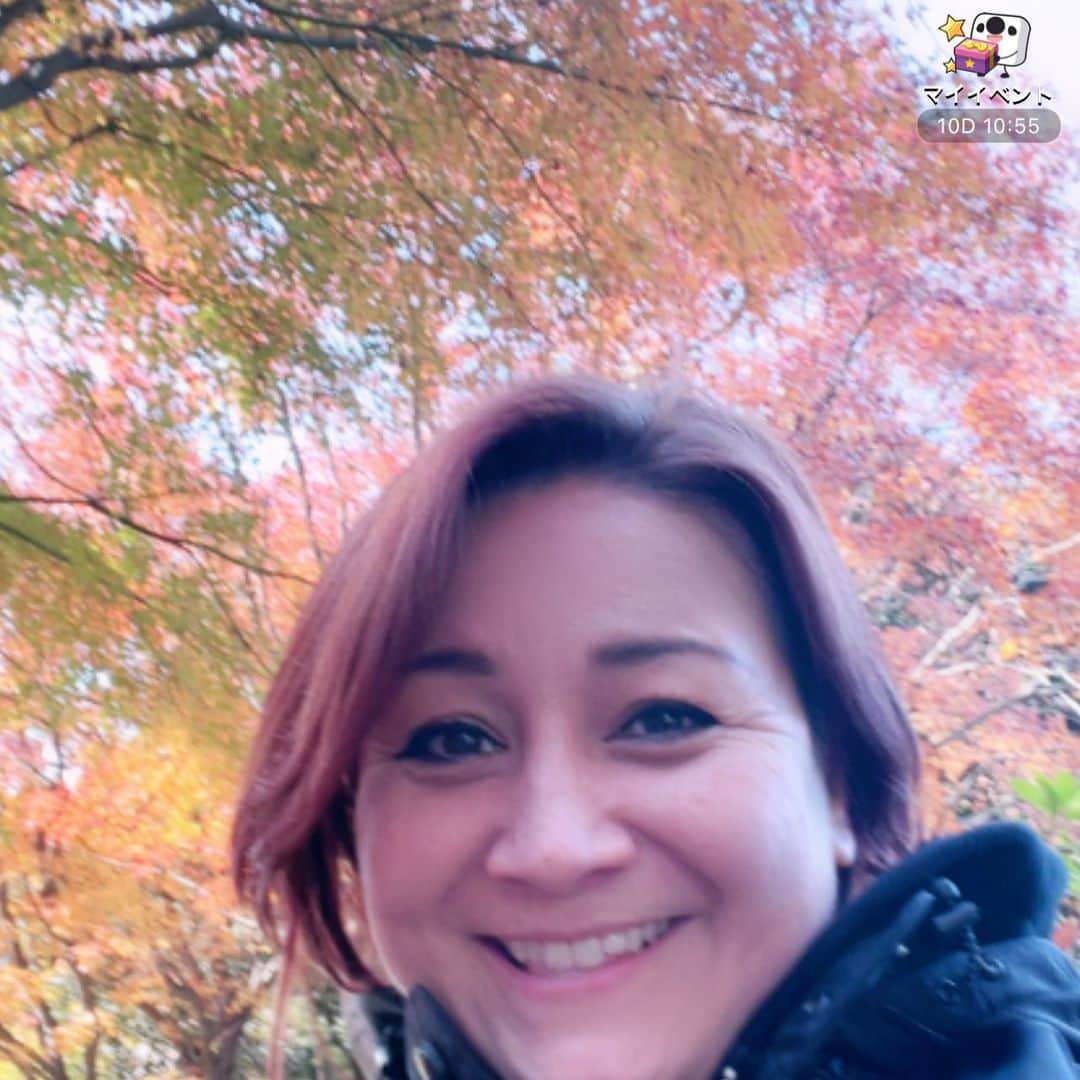 のインスタグラム：「j:com『つながるニュース』の撮影前に意外とあった紅葉の中でも17配信してみた。 今日もぜひ番組見てね！ 地域外に方はど・ろーかるアプリで🌈  帰って支度して実家に帰るぞー！ 途中、雪大丈夫ですよーに😕」