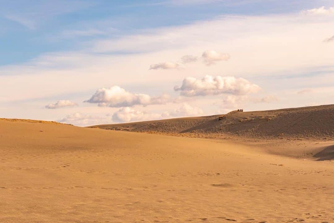 豊大槻さんのインスタグラム写真 - (豊大槻Instagram)「#nakatajimasanddunes  #dunes  #hamamatsu  #浜松  #砂丘  #中田島砂丘」12月18日 16時10分 - yutakachi