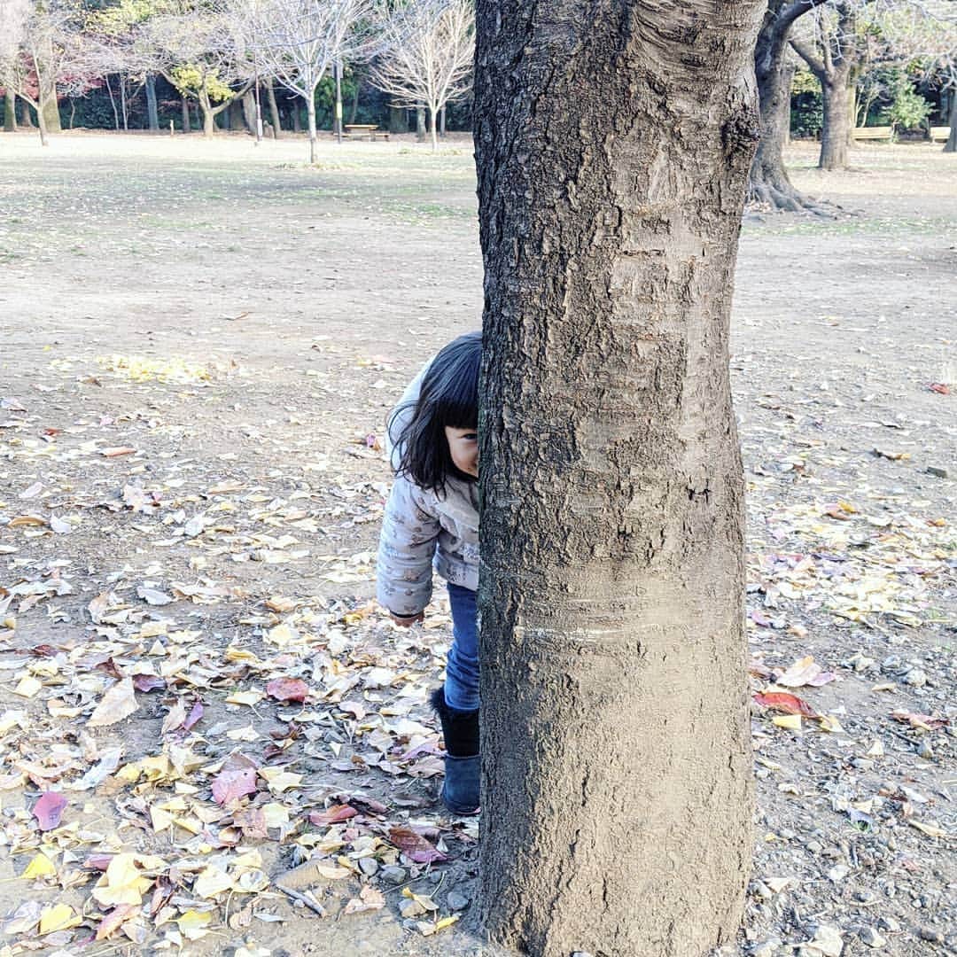 吉村美樹さんのインスタグラム写真 - (吉村美樹Instagram)「いないいないばぁ!!めちゃめちゃ楽しそうでした（笑）miki  #かくれんぼ #いないいないばぁ #2歳10ヶ月 #子供は風の子 #妊婦母さん #へとへと #今日から妊娠8ヶ月 #🤰」12月18日 16時11分 - yoshimuramiki0911