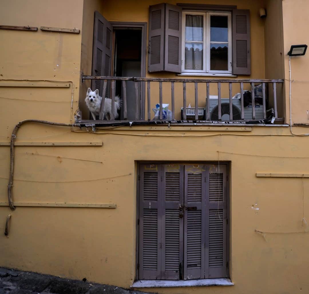 National Geographic Travelさんのインスタグラム写真 - (National Geographic TravelInstagram)「Photo by Muhammed Muheisen @mmuheisen / A dog peeks out from a balcony above a souvenir shop closed due to the current lockdown in the Plaka district of Athens, Greece. For more photos and videos from different parts of the world, follow me @mmuheisen and @mmuheisenpublic. #muhammedmuheisen #Greece #Athens」12月18日 16時40分 - natgeotravel