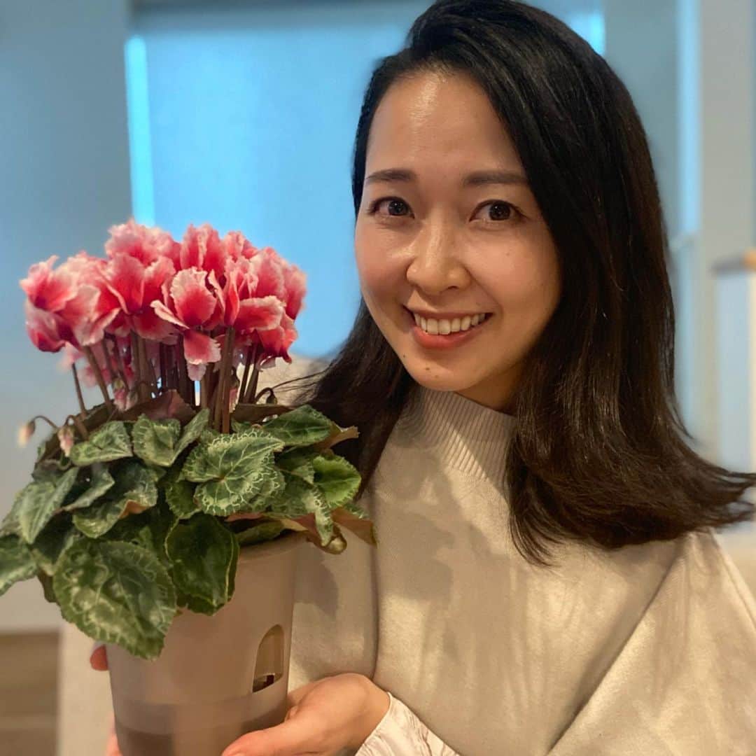 のインスタグラム：「🎁﻿ 今年3月迄は仕事を﻿ それ以降は家族の健康管理を﻿ がんばったご褒美に﻿ #シクラメン を買いました。﻿ ﻿ ふりふりでかわいい❣️﻿ ﻿ 夫はわたしの料理で太り﻿ わたしの料理でダイエット中です。﻿ ﻿ ﻿ ﻿ #cyclamen #christmas #花のある暮らし #名古屋 #アナウンサー #徳重杏奈﻿」