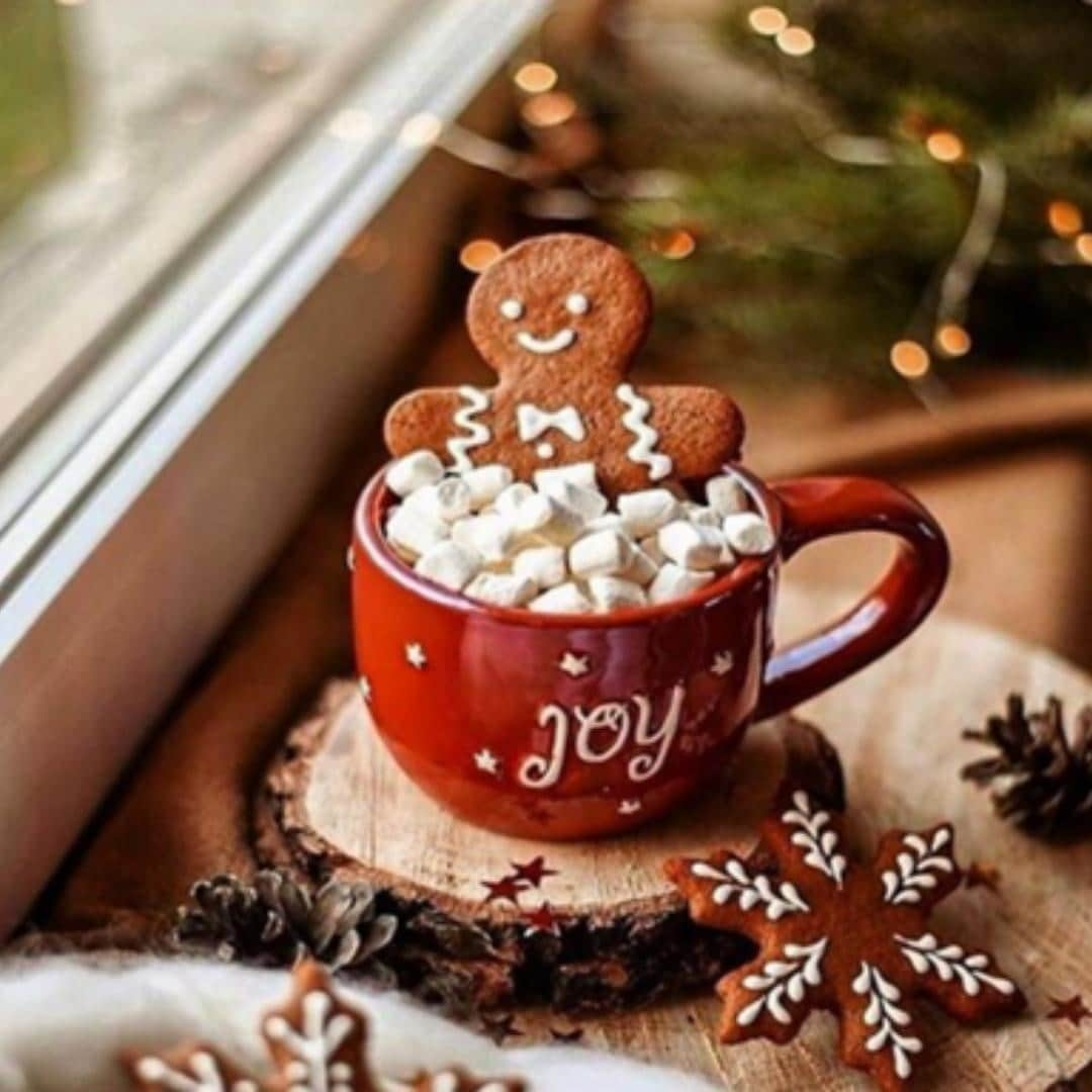 Melvita Officialさんのインスタグラム写真 - (Melvita OfficialInstagram)「Noel J-7 ! 🎅  Pour patienter jusque là, c’est un week-end ambiance de Noël en perspective ! Un chocolat chaud, un bon film de Noël et Maria Carey en boucle ! ☕🍪  On adore cette période de l’année qui donne du baume au cœur et un peu de chaleur ! ❤️  Merci à @christmas_channel pour cette jolie photo !  #melvita #cosmetique #bio #engage #madeinfrance #noel #christmas #itschristmastime #cocooning #bienetre #chocolatchaud #biscuit #café #detente」12月18日 17時00分 - melvitaofficial