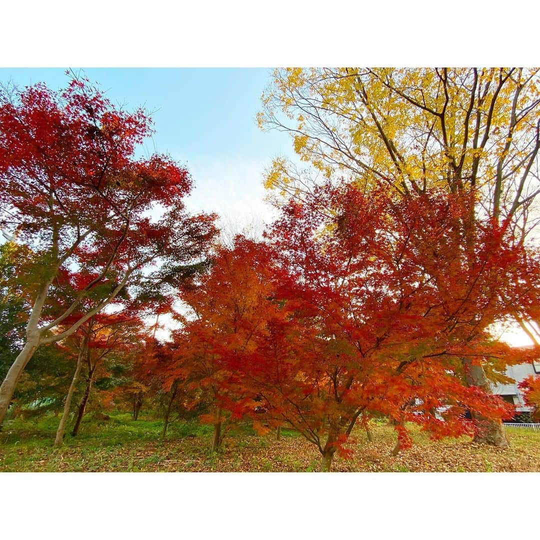 宮川紗麻亜のインスタグラム