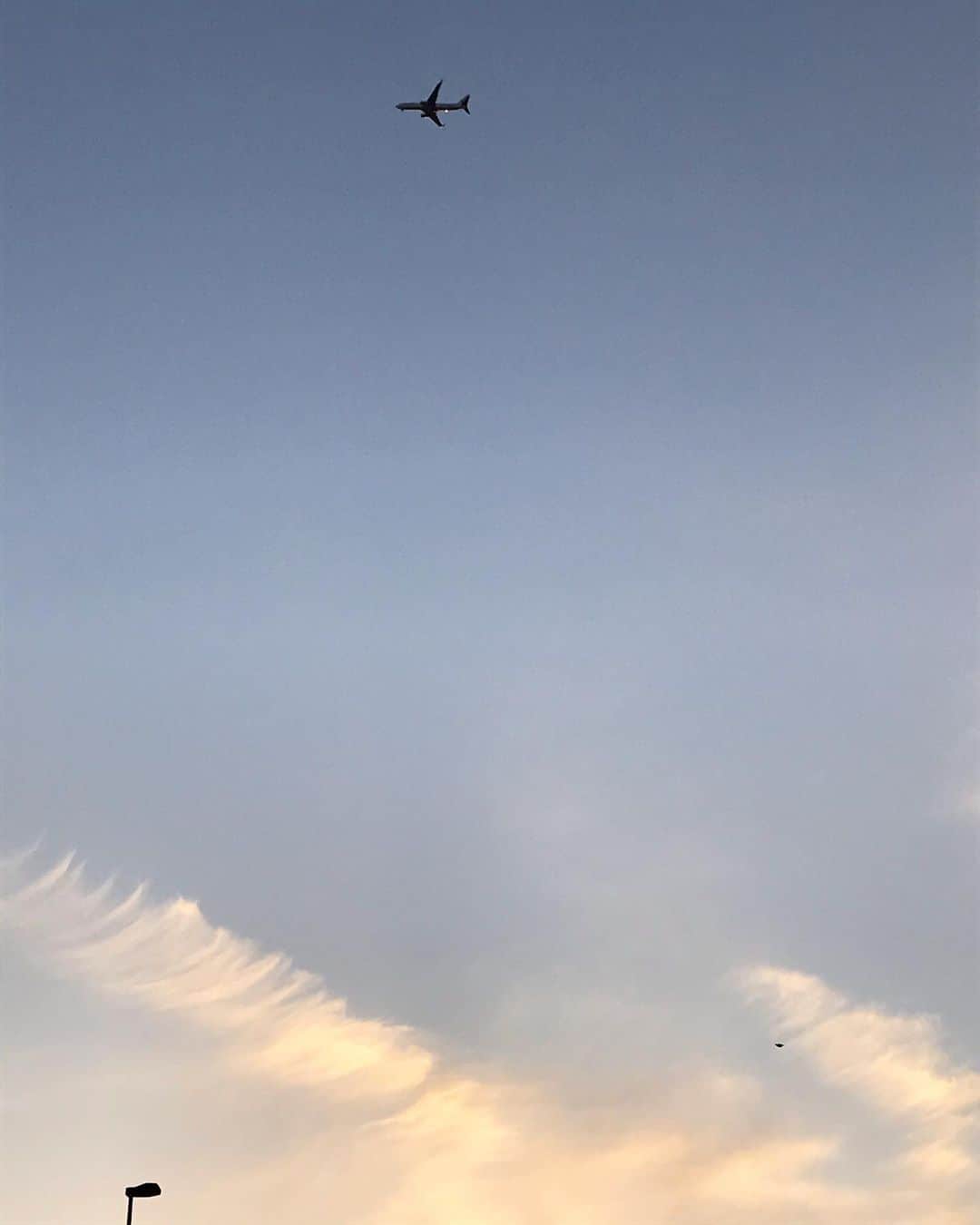 のインスタグラム：「하늘만 보게 되는 #겨울」
