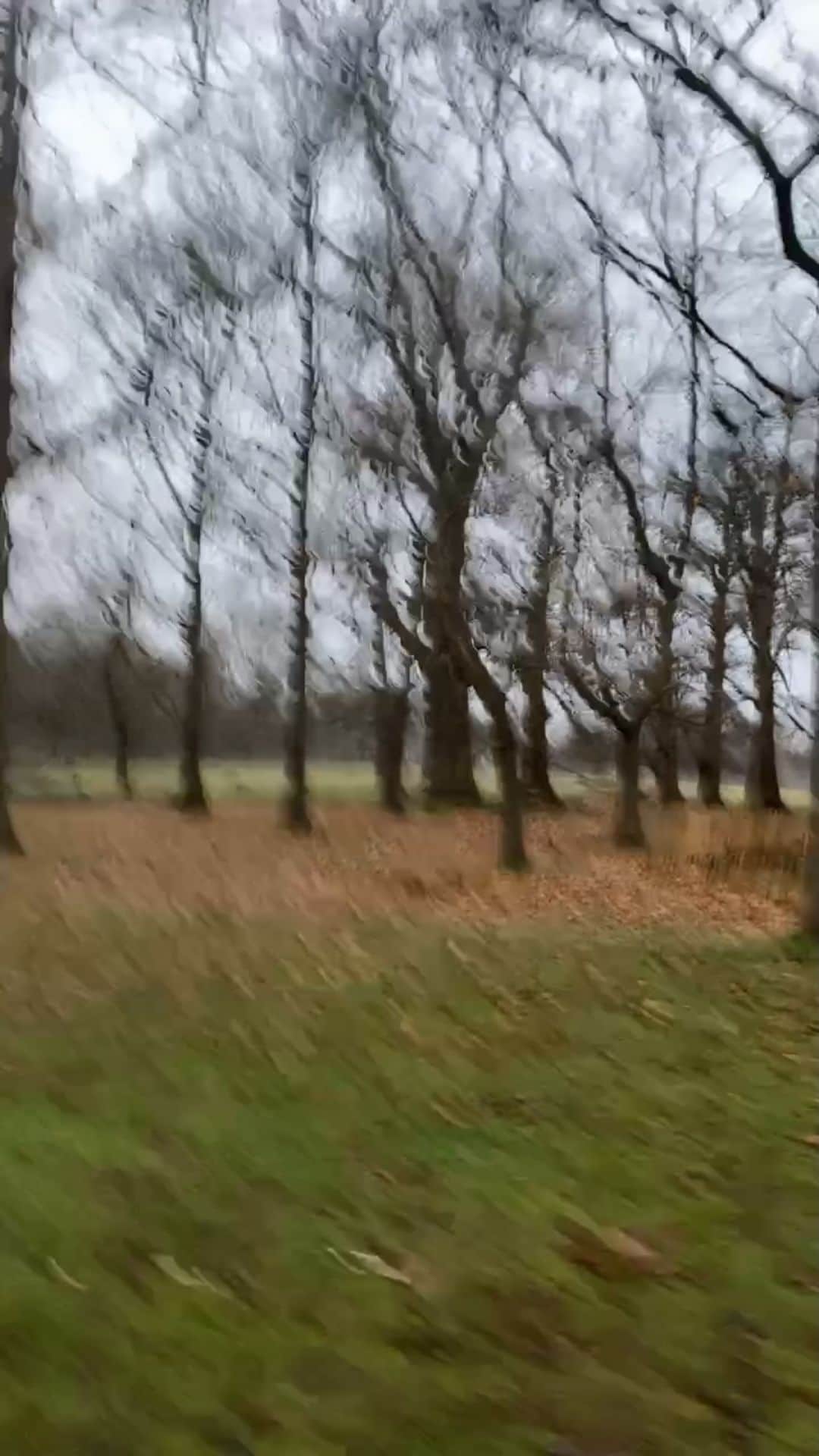 ファーン・コットンのインスタグラム：「It was dark. It was cold. I could not be arsed. So glad I did it. Each time I run I remember that I have so much more agency over my own thoughts and narrative. Listened to @haimtheband @easylife and Nirvana. Hope you’re all ok today. Big love ❤️」
