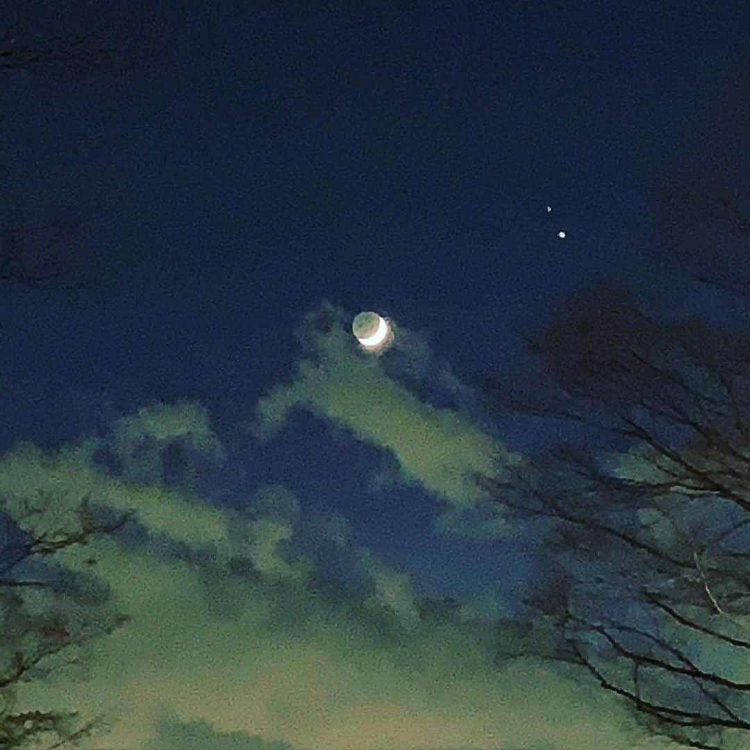松田岳二のインスタグラム：「#つきかけ #regardelalune」