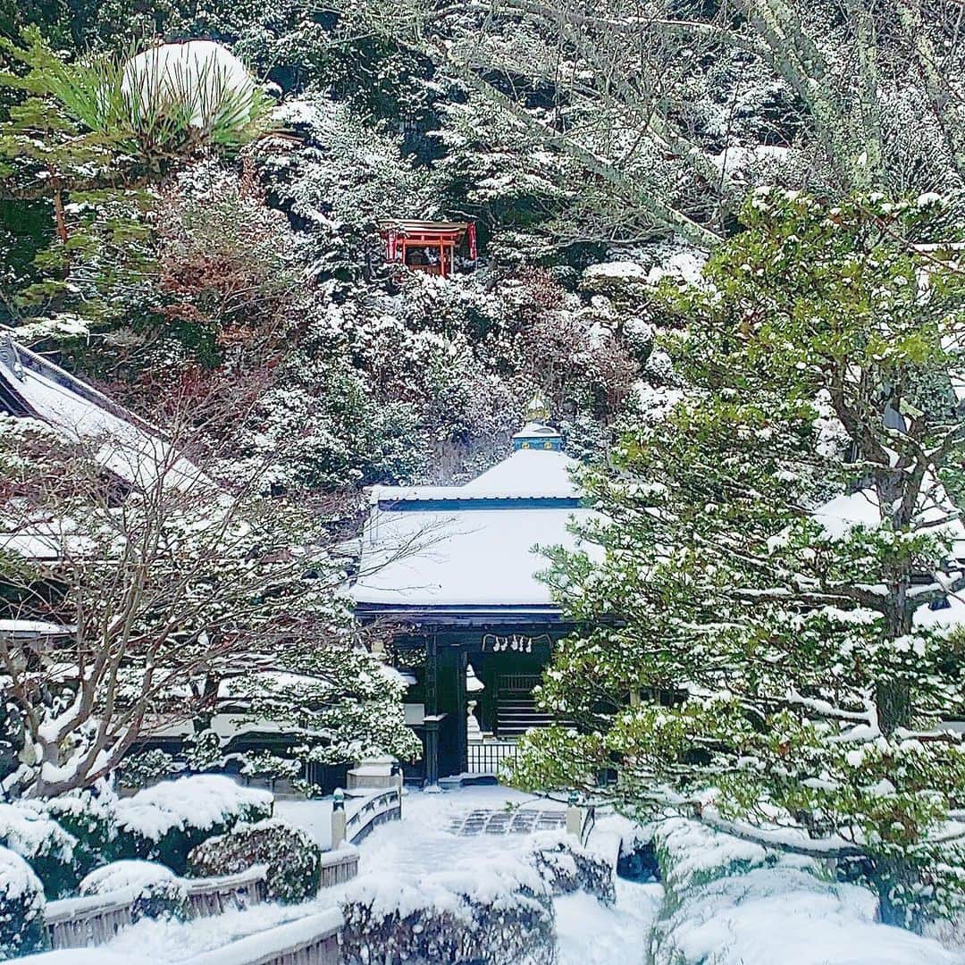のインスタグラム：「Unity🌏  #高野山 #調和 #koyasan  #snow #serendipity #japan」